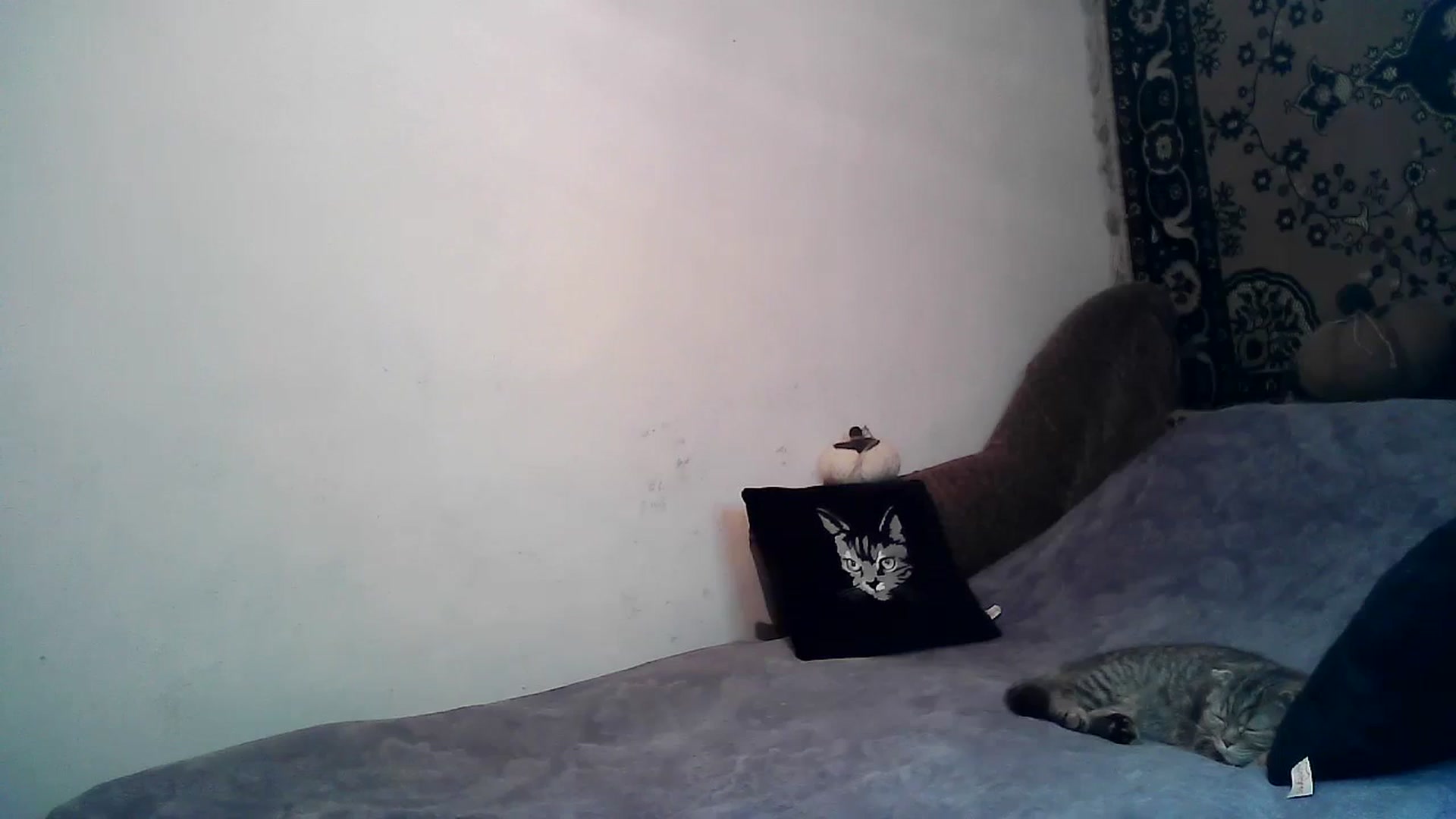 Gallery image thumbnail from LizzaW's myfreecams stream on, 02/17/2024, 17:47 image 19 of 20