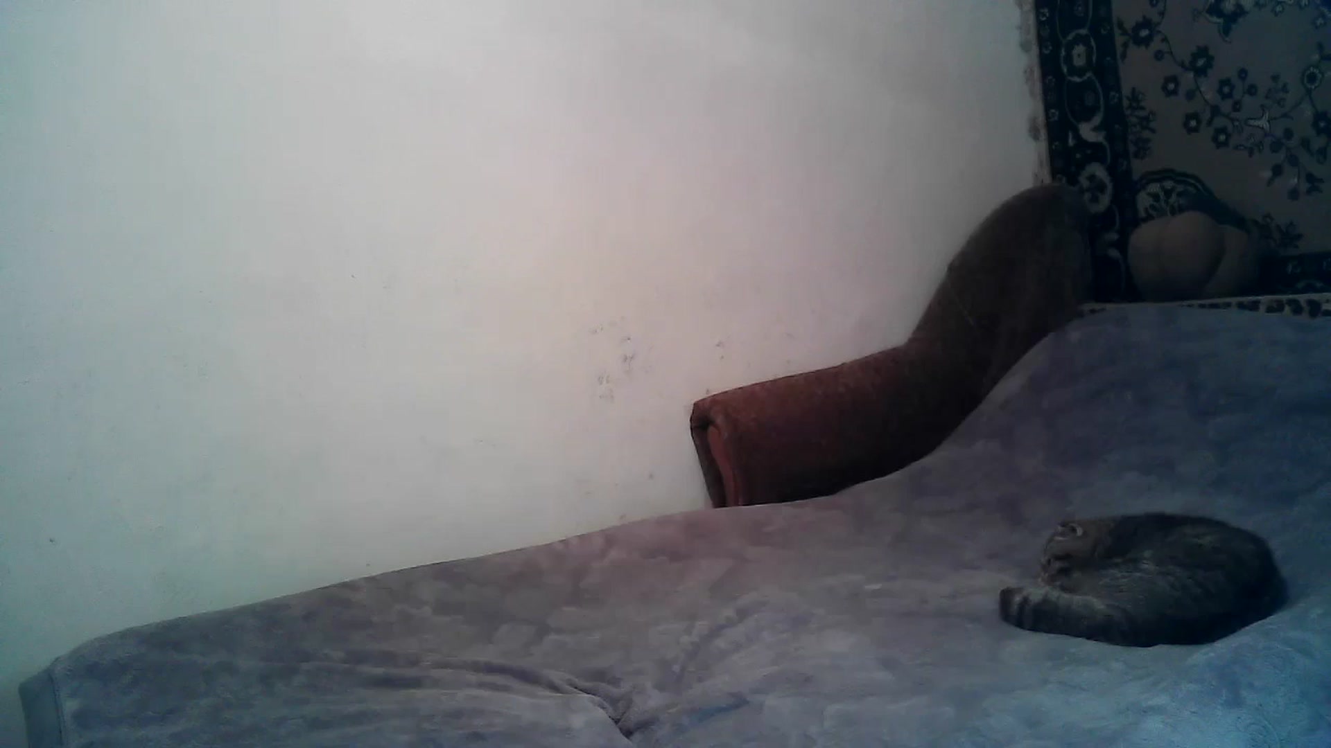 Gallery image thumbnail from LizzaW's myfreecams stream on, 02/26/2024, 17:57 image 7 of 20