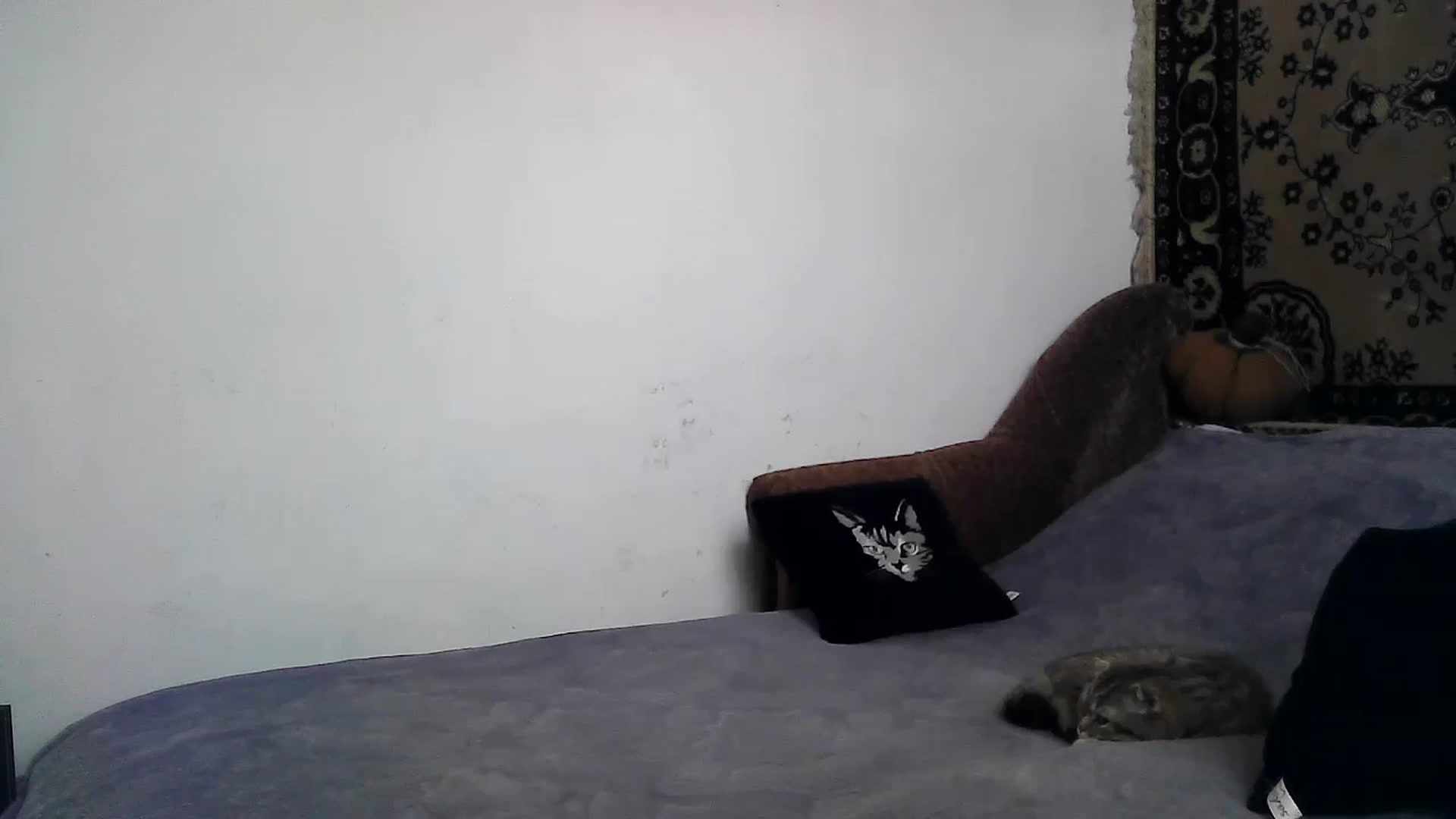 Gallery image thumbnail from LizzaW's myfreecams stream on, 05/25/2024, 13:30 image 19 of 20