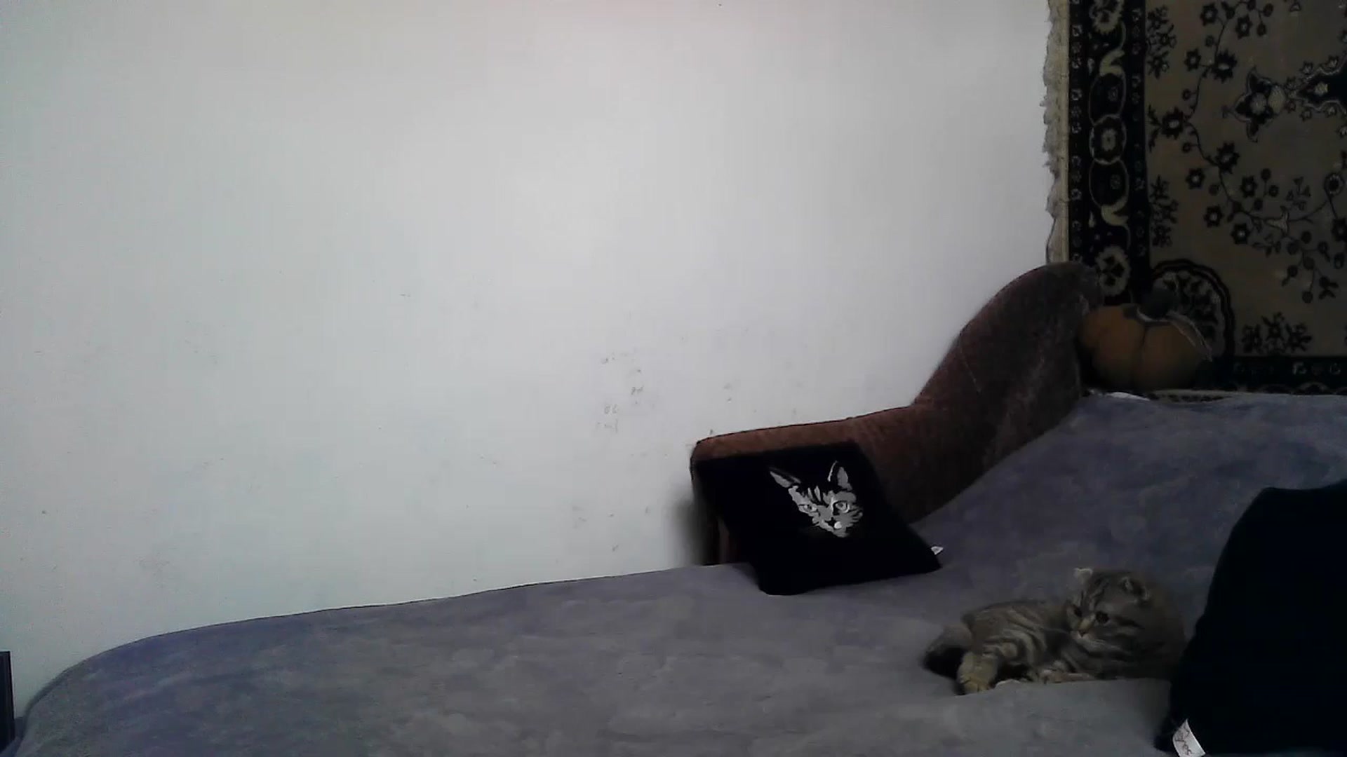Gallery image thumbnail from LizzaW's myfreecams stream on, 05/25/2024, 13:30 image 8 of 20