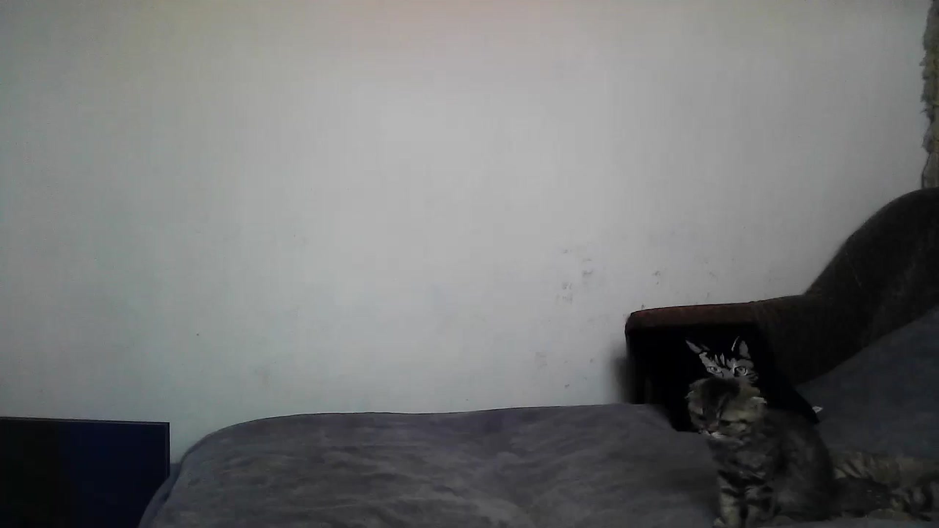 Gallery image thumbnail from LizzaW's myfreecams stream on, 05/25/2024, 15:28 image 13 of 20