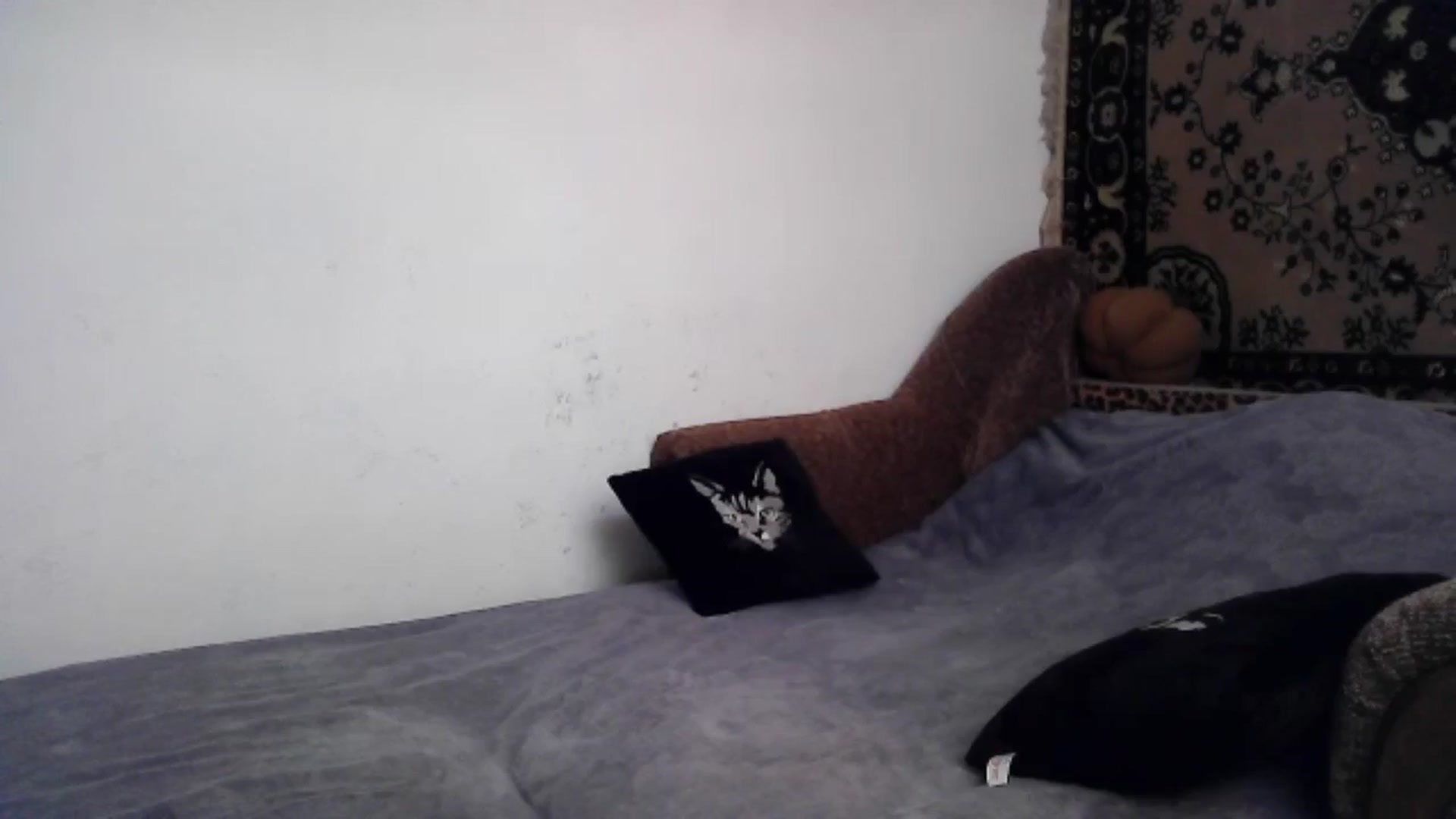 Gallery image thumbnail from LizzaW's myfreecams stream on, 06/22/2024, 17:18 image 10 of 20