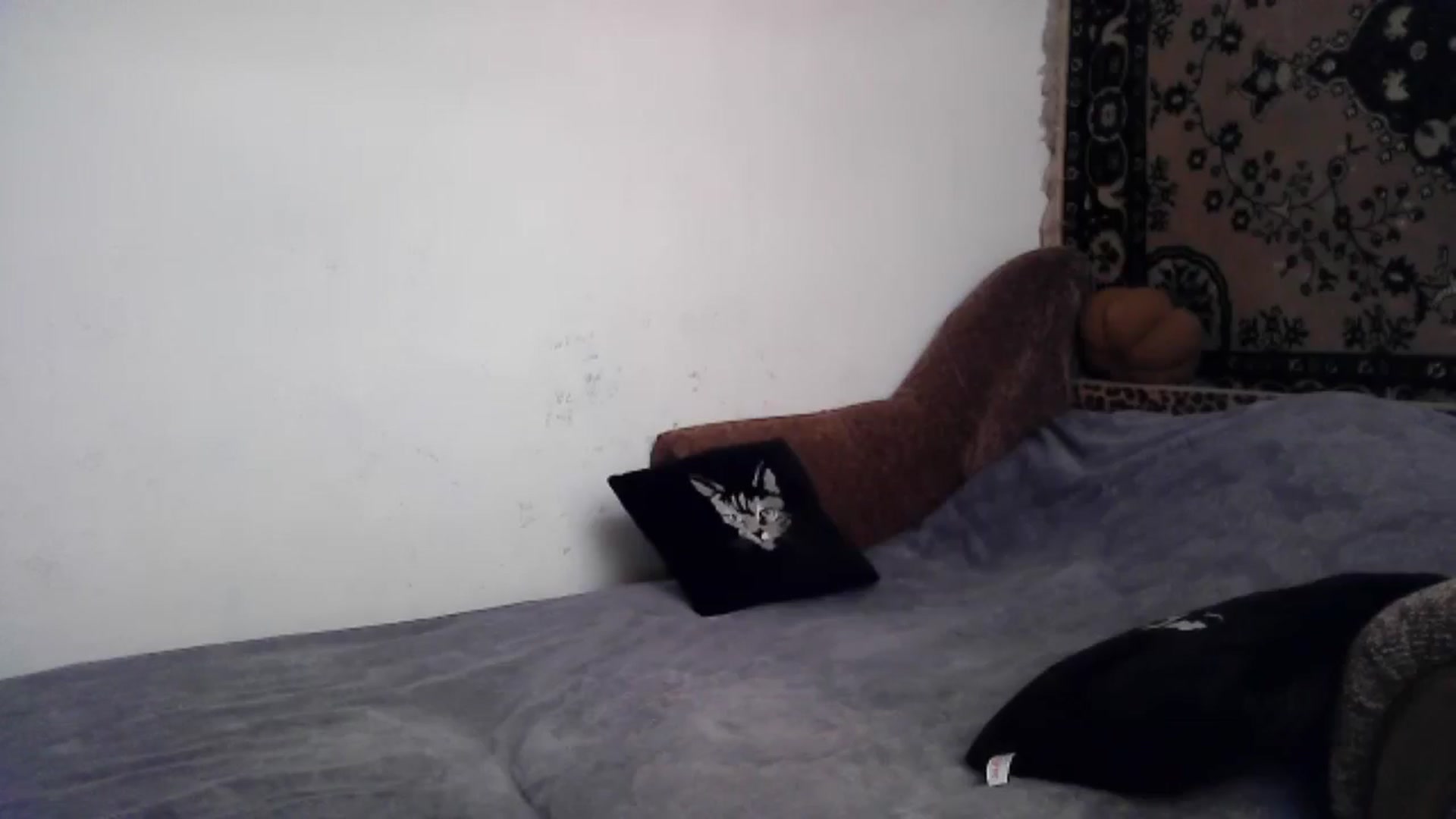 Gallery image thumbnail from LizzaW's myfreecams stream on, 06/22/2024, 17:18 image 11 of 20
