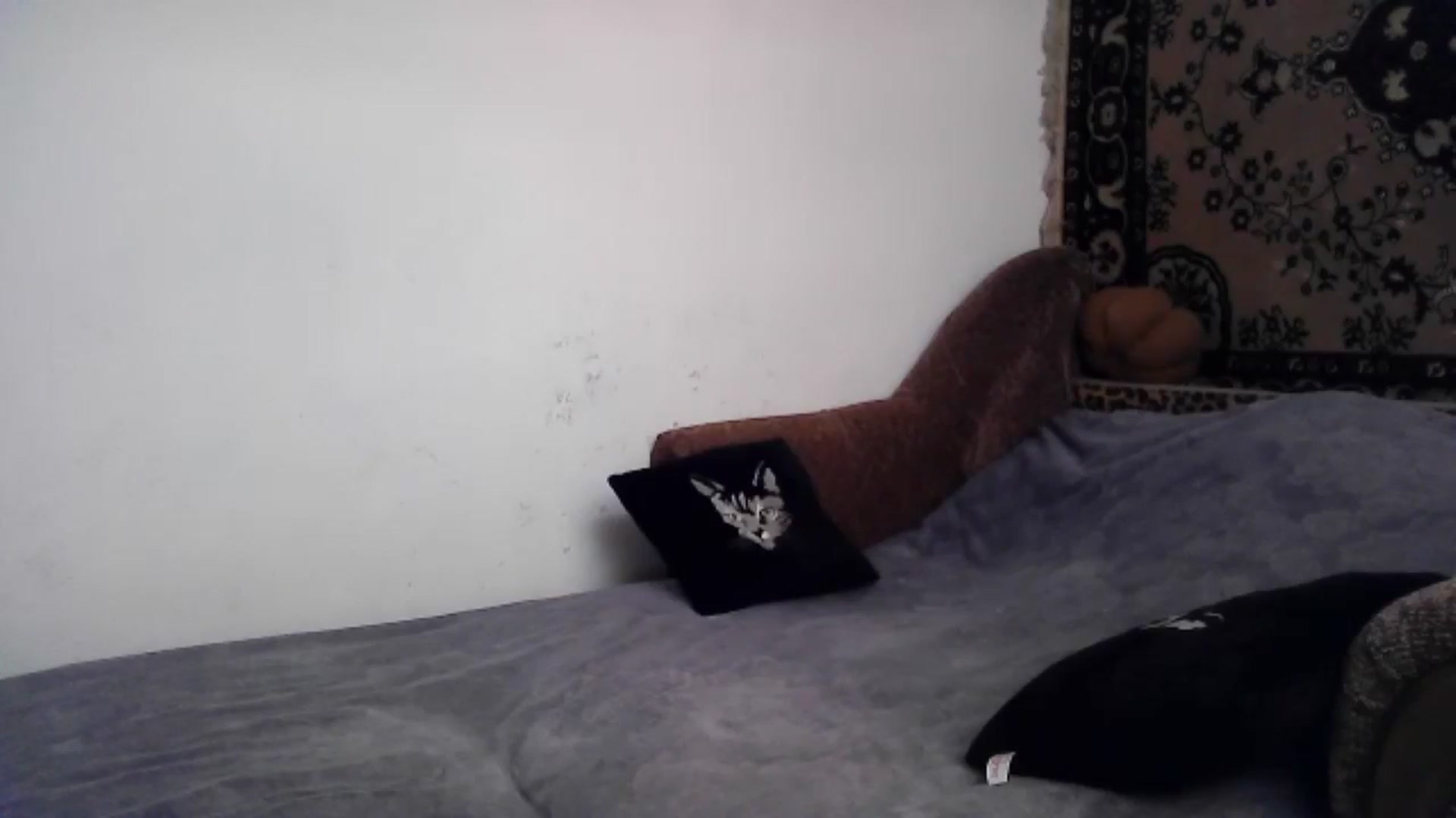 Gallery image thumbnail from LizzaW's myfreecams stream on, 06/22/2024, 17:18 image 12 of 20