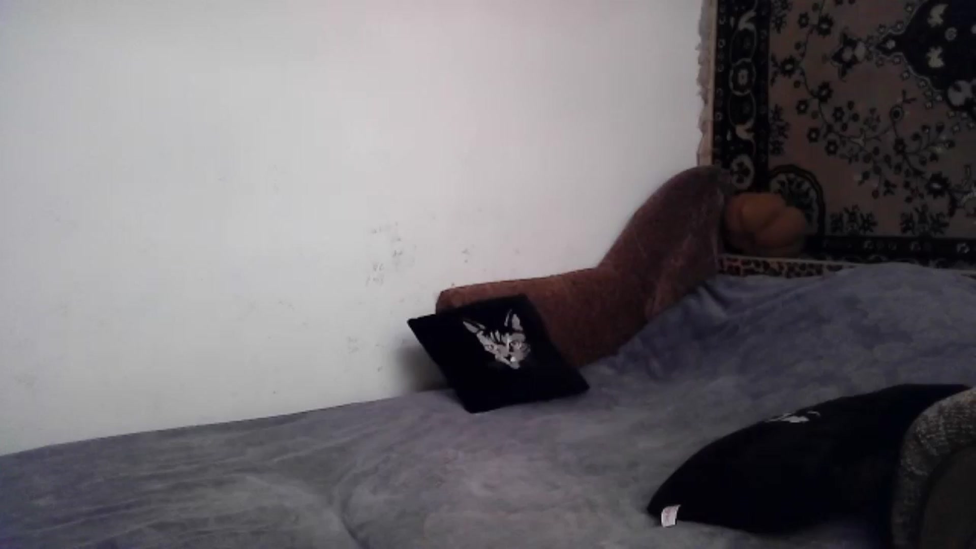 Gallery image thumbnail from LizzaW's myfreecams stream on, 06/22/2024, 17:18 image 13 of 20