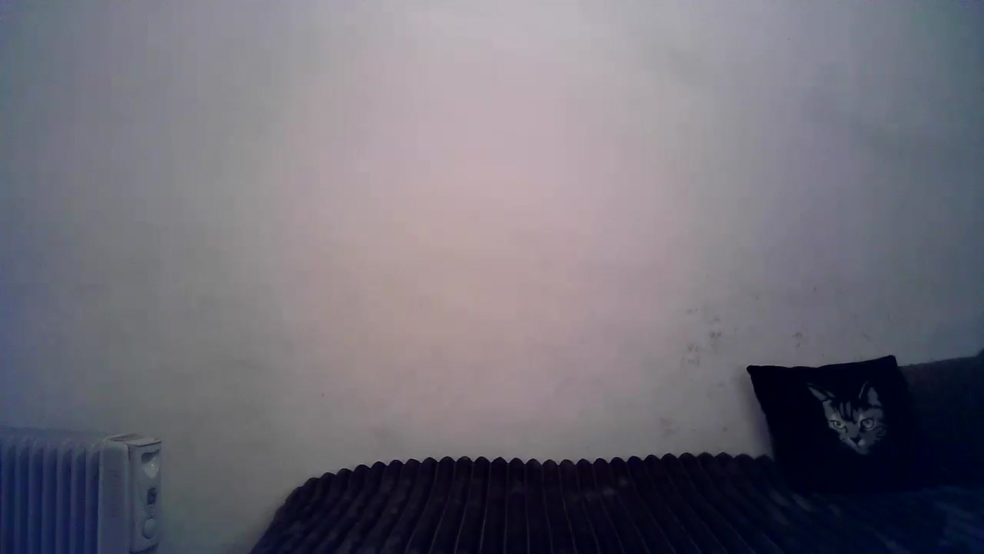 Gallery image thumbnail from LizzaW's myfreecams stream on, 10/27/2024, 15:58 image 7 of 20