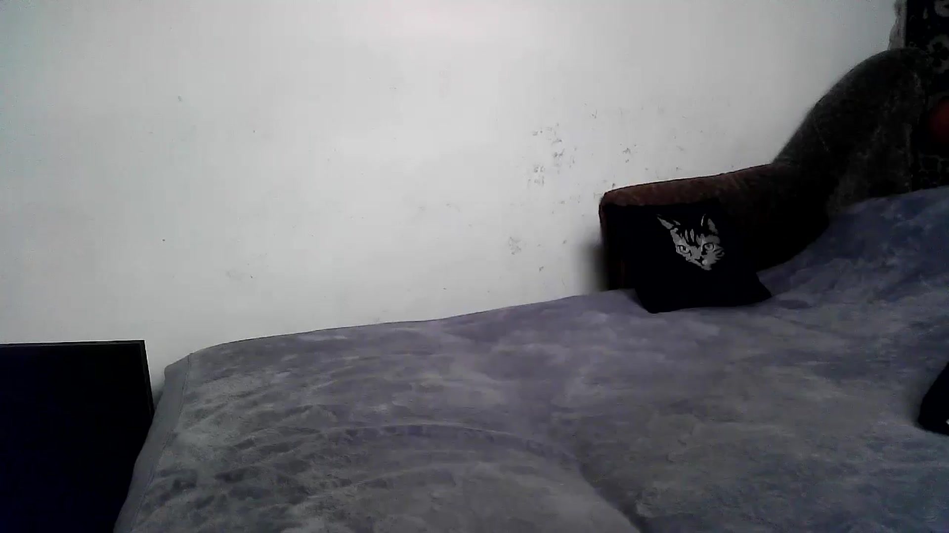 Gallery image thumbnail from LizzaW's myfreecams stream on, 07/14/2025, 15:47 image 2 of 20