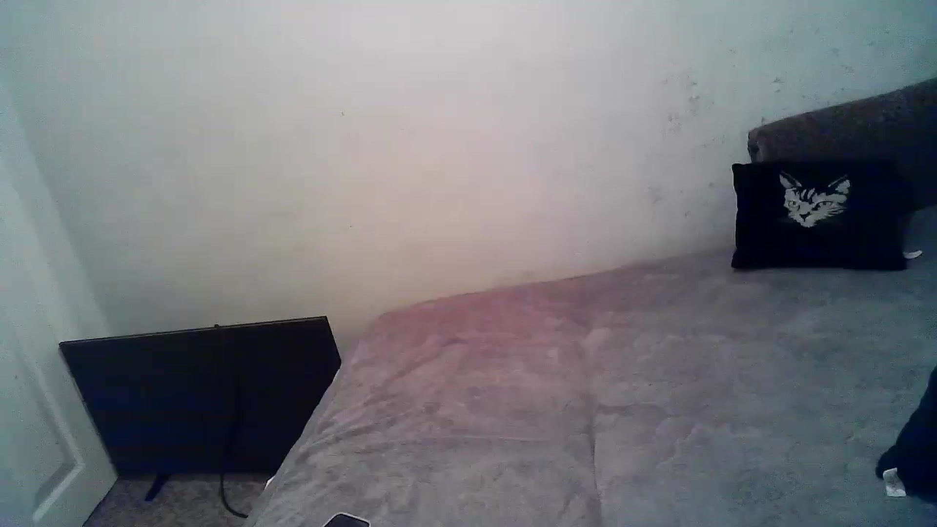 Gallery image thumbnail from LizzaW's myfreecams stream on, 08/12/2025, 19:12 image 18 of 20