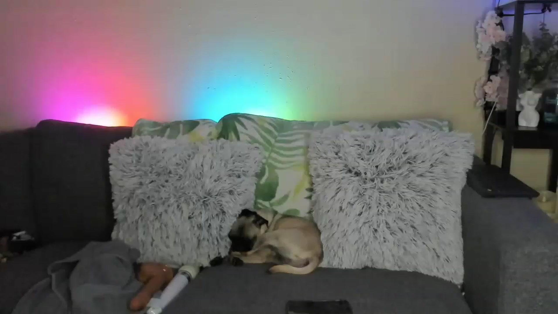 Gallery image thumbnail from LizzySmalls's myfreecams stream on, 11/19/2022, 09:32 image 20 of 20