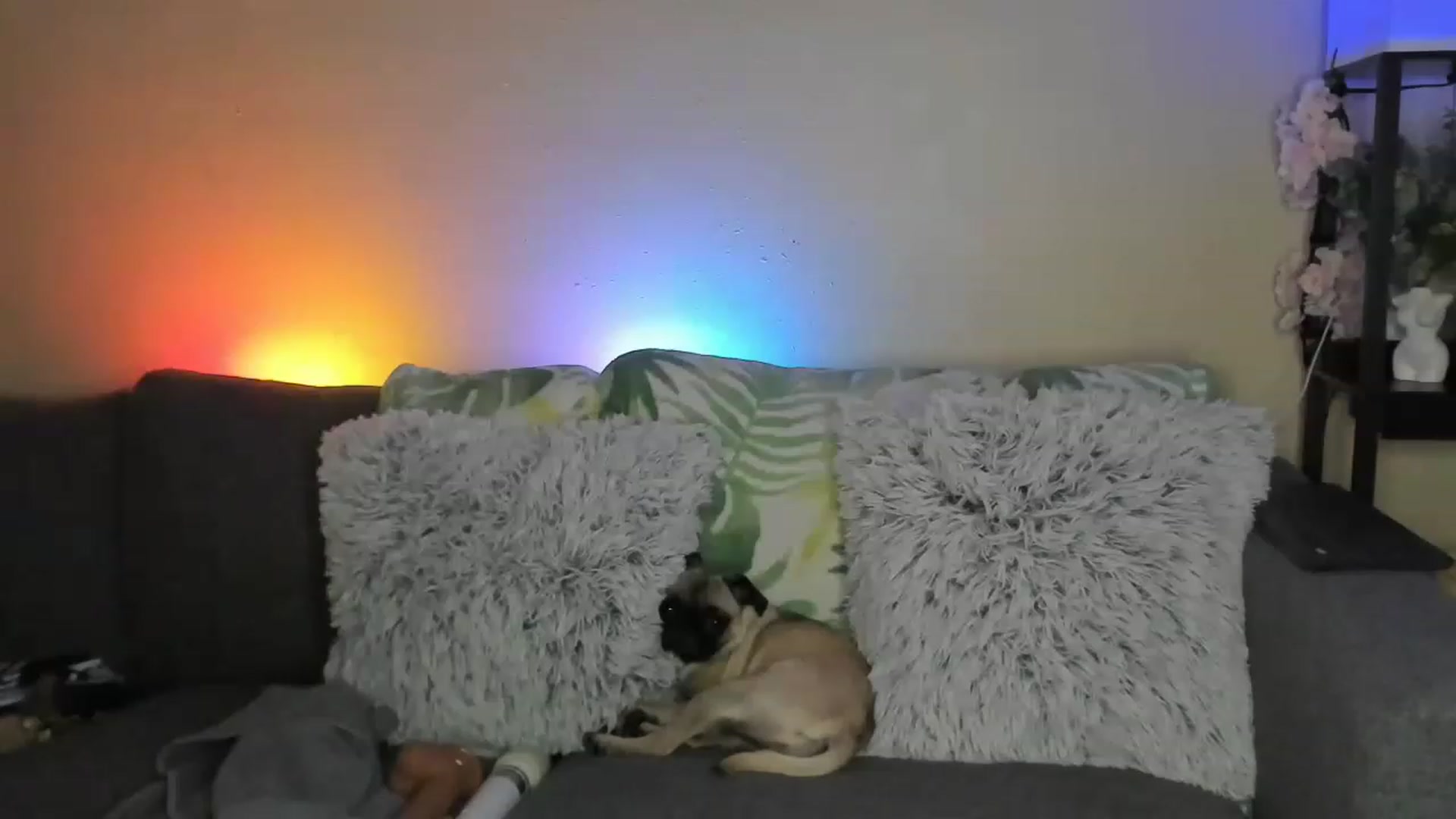 Gallery image thumbnail from LizzySmalls's myfreecams stream on, 11/19/2022, 09:32 image 5 of 20