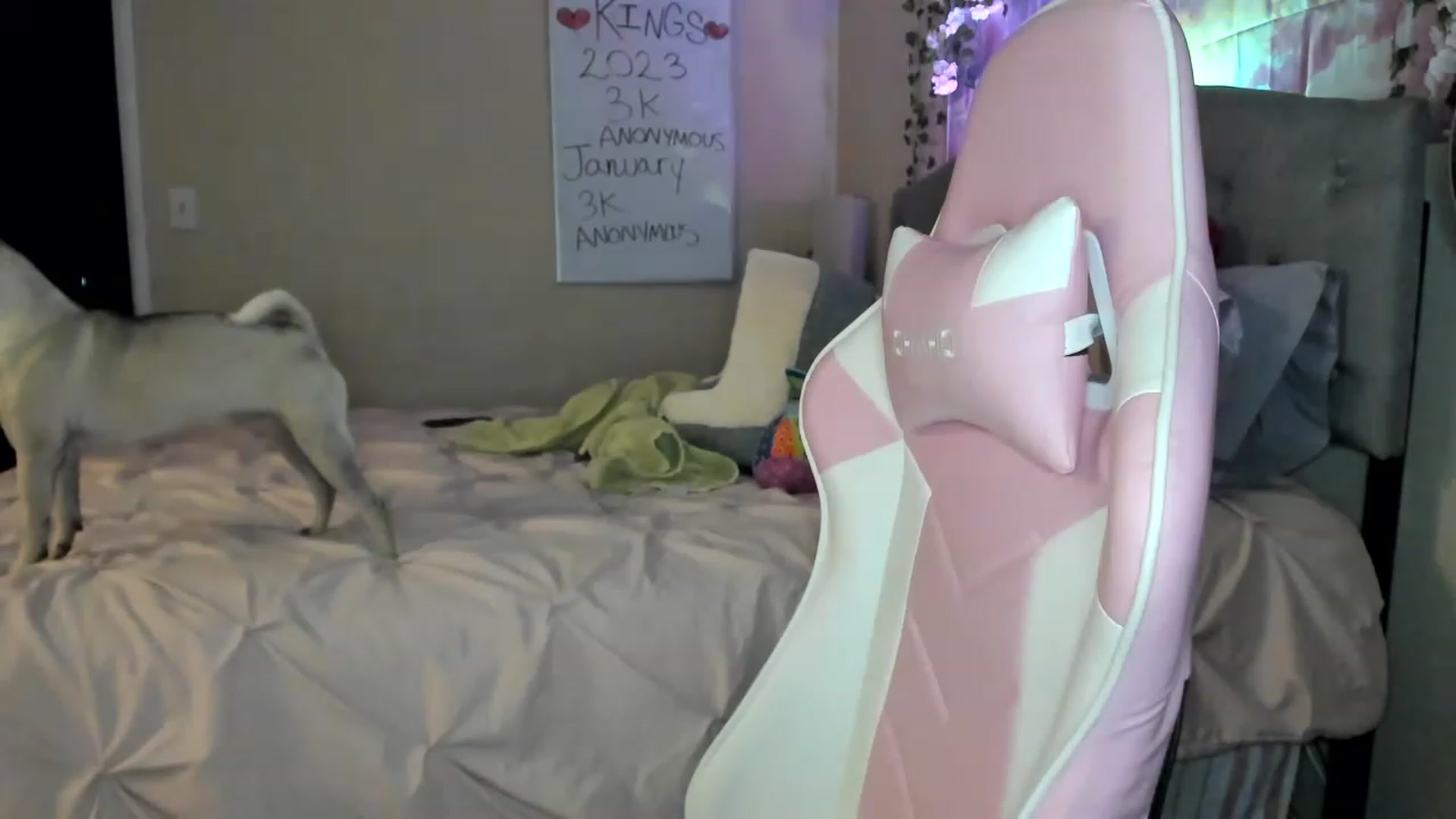Gallery image thumbnail from LizzySmallz's myfreecams stream on, 01/03/2023, 09:39 image 9 of 20