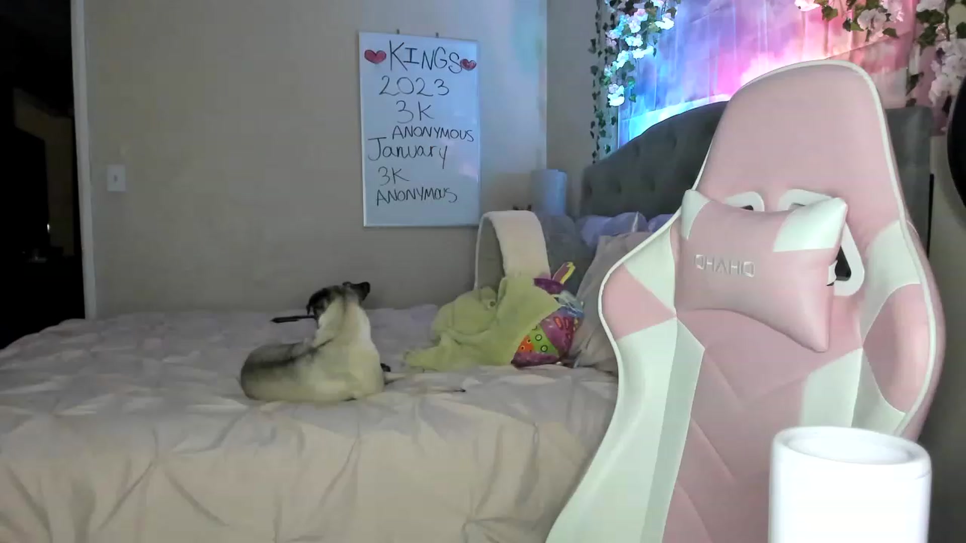 Gallery image thumbnail from LizzySmallz's myfreecams stream on, 01/03/2023, 09:39 image 3 of 20
