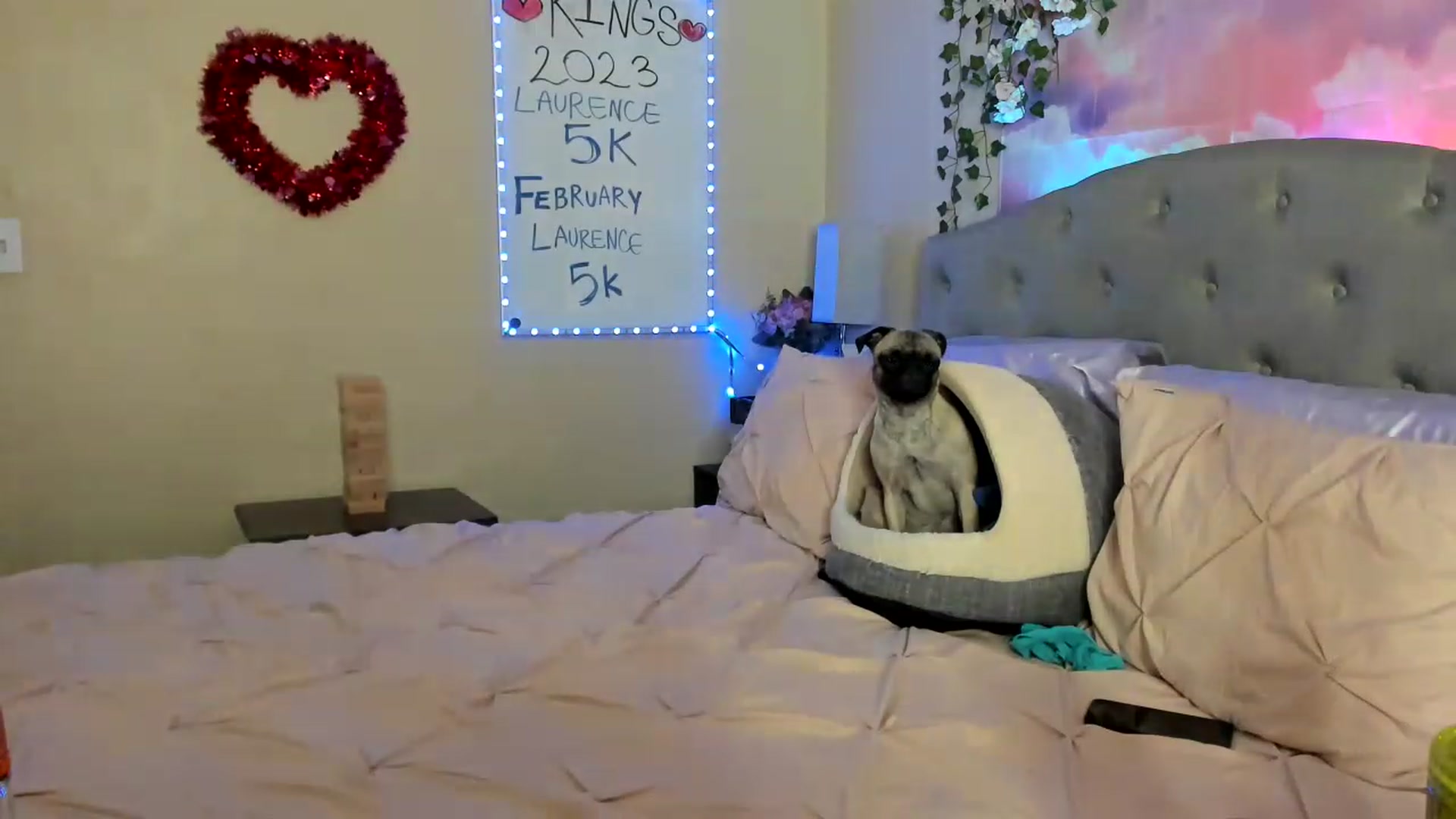 Gallery image thumbnail from LizzySmallz's myfreecams stream on, 02/11/2023, 13:26 image 15 of 20