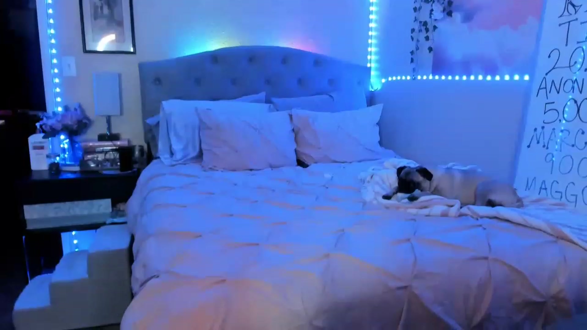 Gallery image thumbnail from LizzySmallz's myfreecams stream on, 03/02/2023, 11:06 image 20 of 20