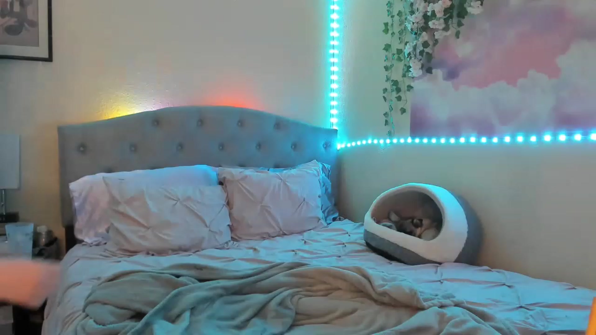 Gallery image thumbnail from LizzySmallz's myfreecams stream on, 03/15/2023, 09:38 image 17 of 20