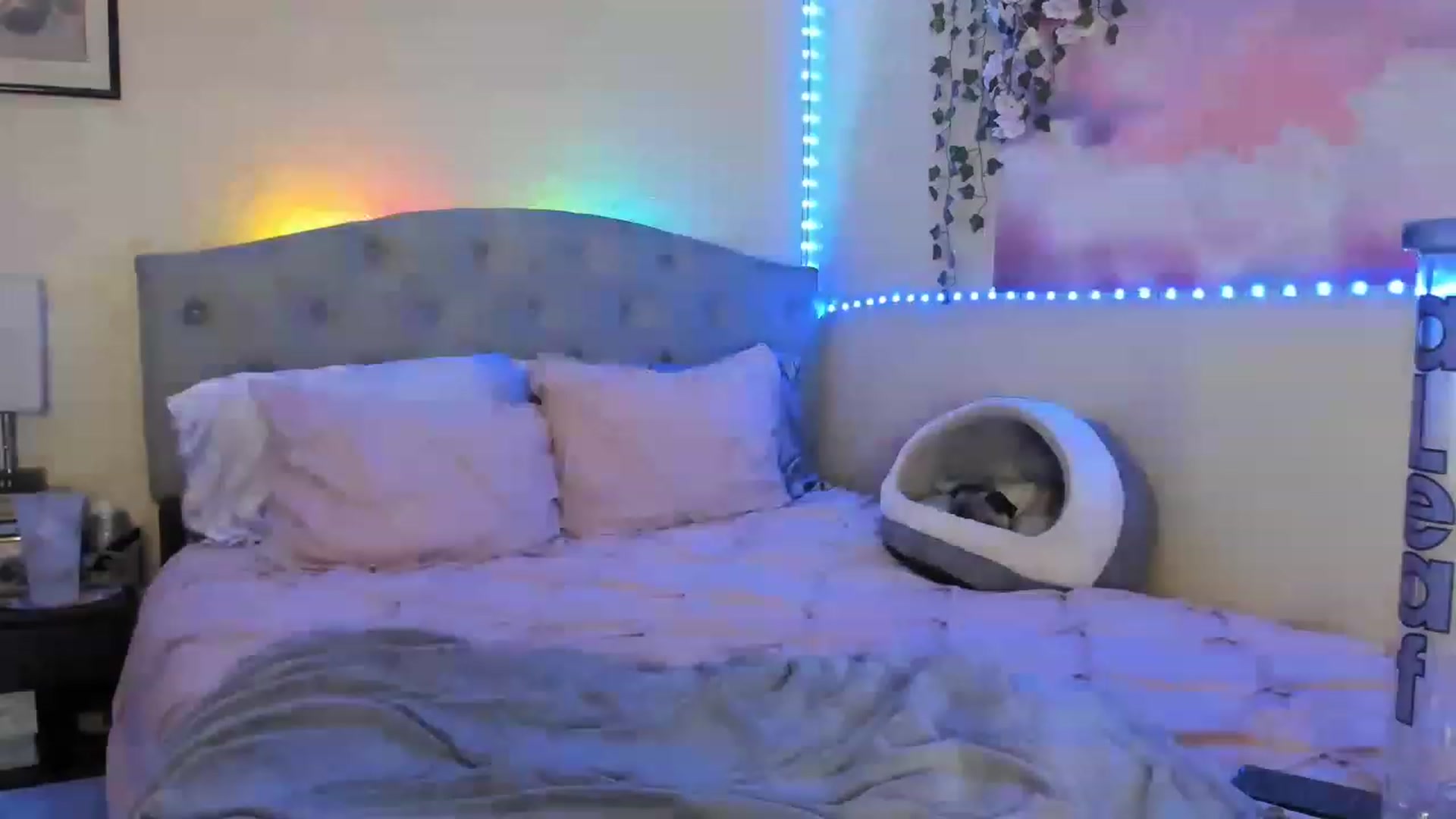 Gallery image thumbnail from LizzySmallz's myfreecams stream on, 03/15/2023, 09:38 image 10 of 20