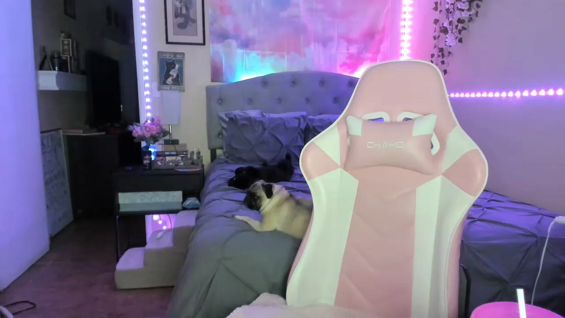 Gallery image thumbnail from LizzySmallz's myfreecams stream on, 04/23/2023, 10:21 image 3 of 20