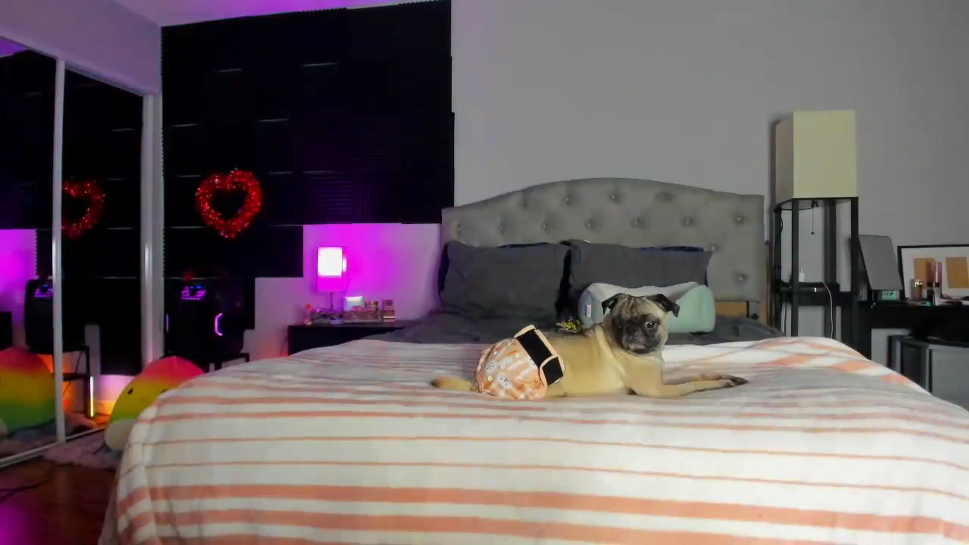 Gallery image thumbnail from LizzySmallz's myfreecams stream on, 02/02/2024, 11:21 image 12 of 20