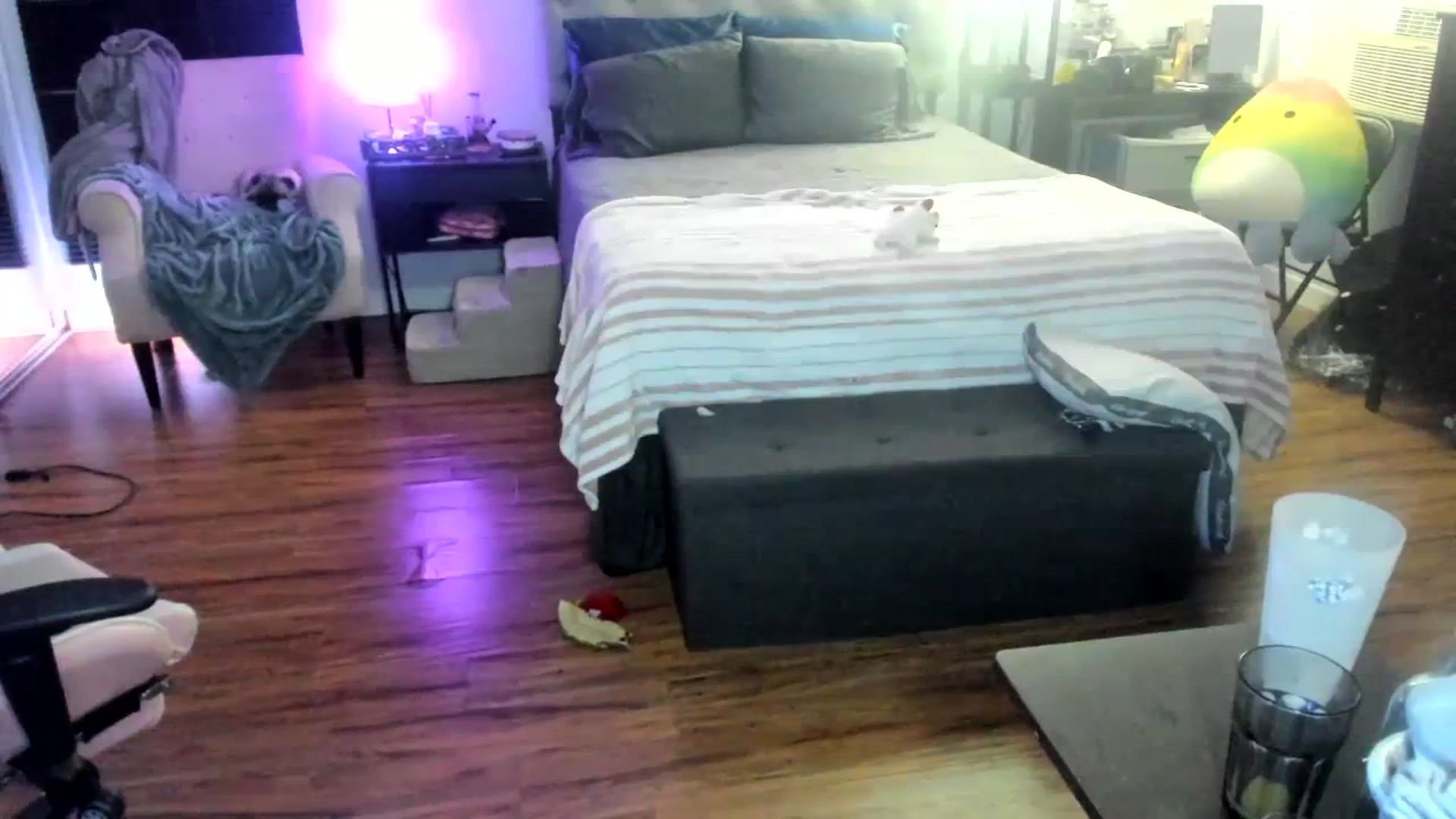 Gallery image thumbnail from LizzySmallz's myfreecams stream on, 04/10/2024, 09:12 image 19 of 20