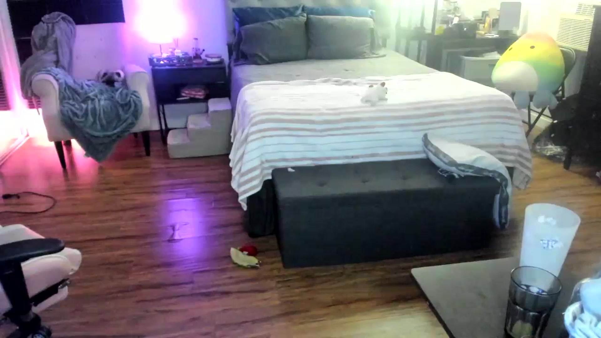 Gallery image thumbnail from LizzySmallz's myfreecams stream on, 04/10/2024, 09:12 image 17 of 20
