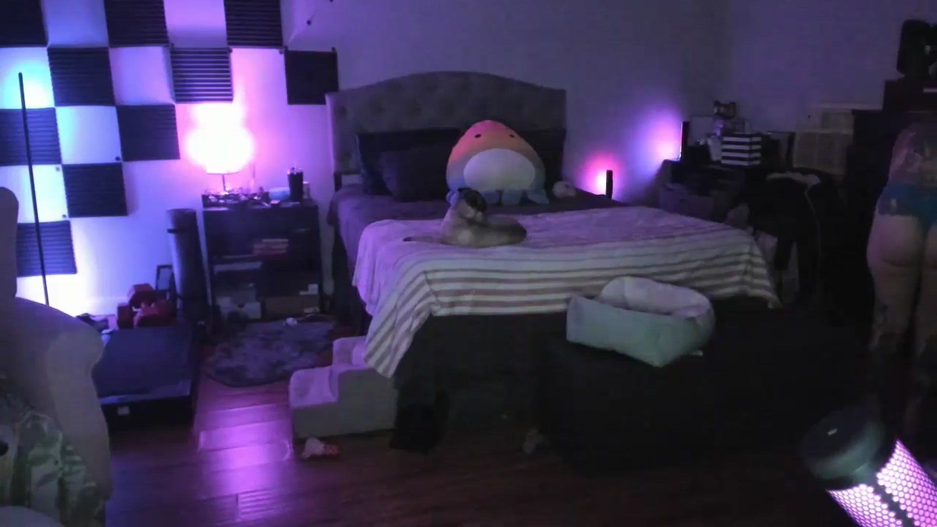 Gallery image thumbnail from LizzySmallz's myfreecams stream on, 06/17/2024, 11:20 image 10 of 20