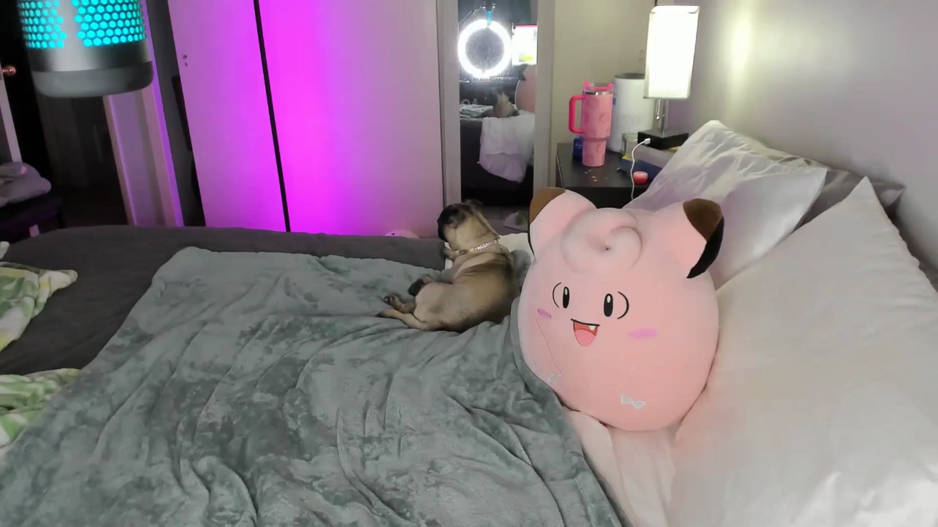 Gallery image thumbnail from LizzySmallz's myfreecams stream on, 07/29/2025, 08:06 image 2 of 20