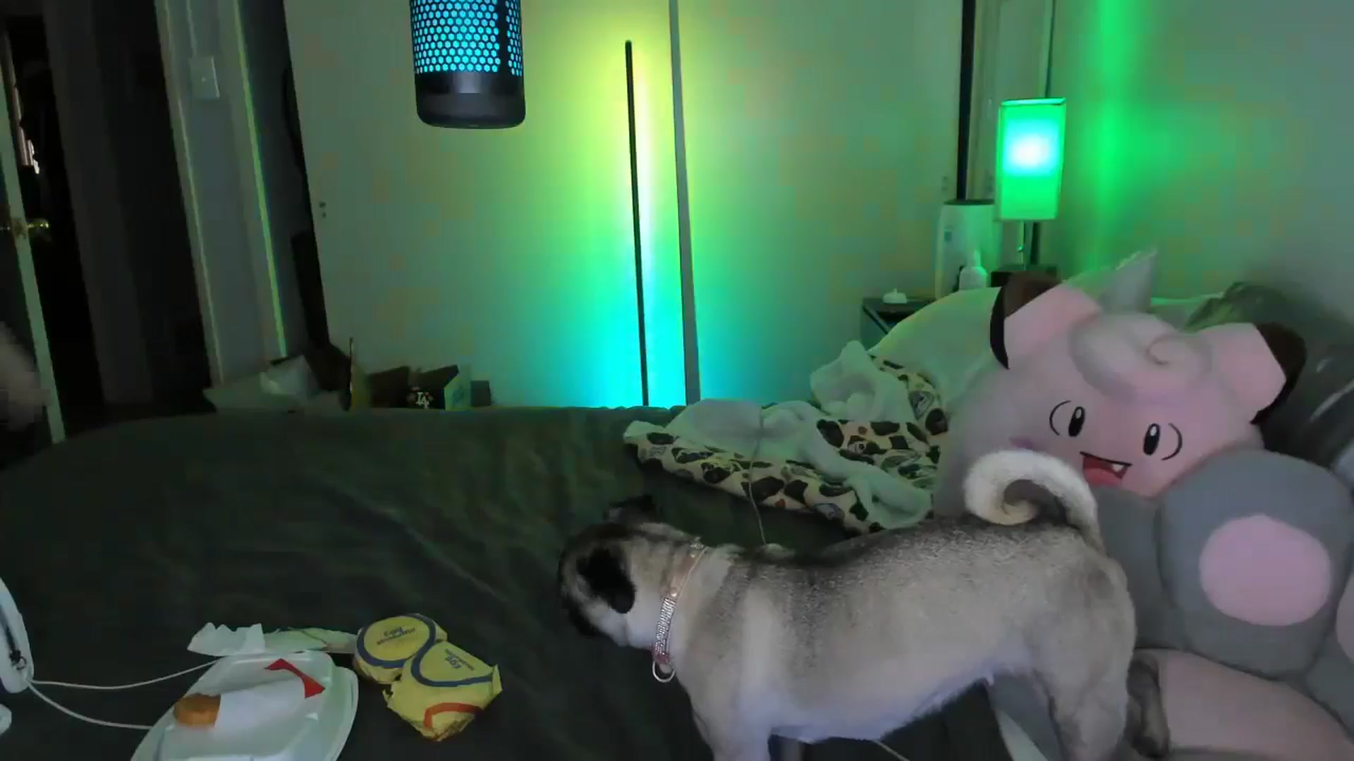 Gallery image thumbnail from LizzySmallz's myfreecams stream on, 08/24/2025, 15:23 image 18 of 20