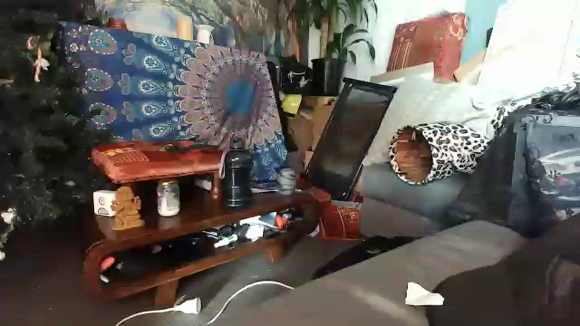 Gallery image thumbnail from Llittlellama's myfreecams stream on, 12/06/2022, 08:47 image 5 of 20