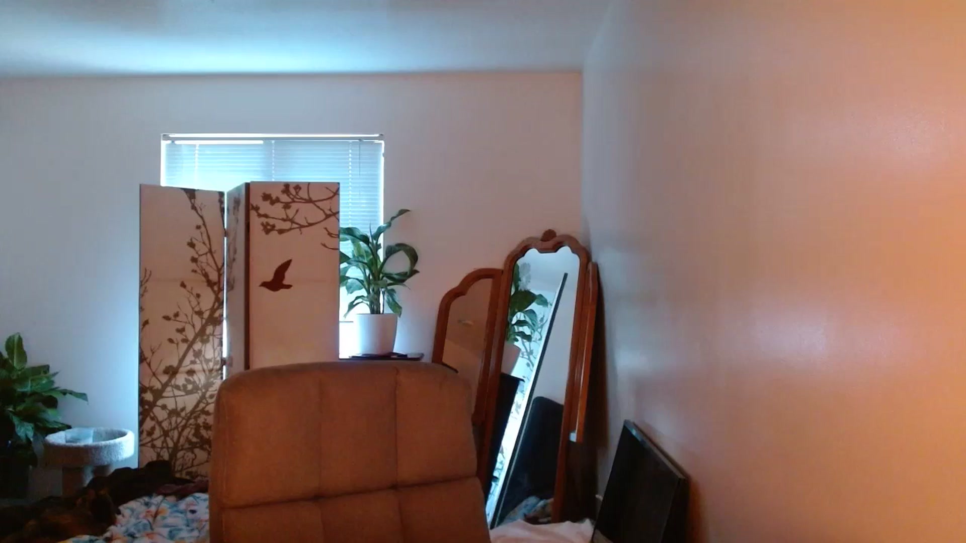 Gallery image thumbnail from LoVe_On__'s myfreecams stream on, 06/27/2023, 13:23 image 18 of 20