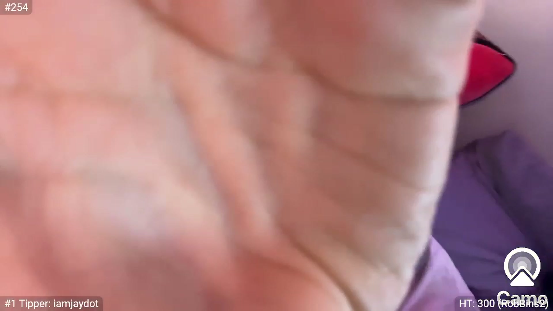 Gallery image thumbnail from LolaBunnybun's myfreecams stream on, 08/26/2023, 02:45 image 5 of 20
