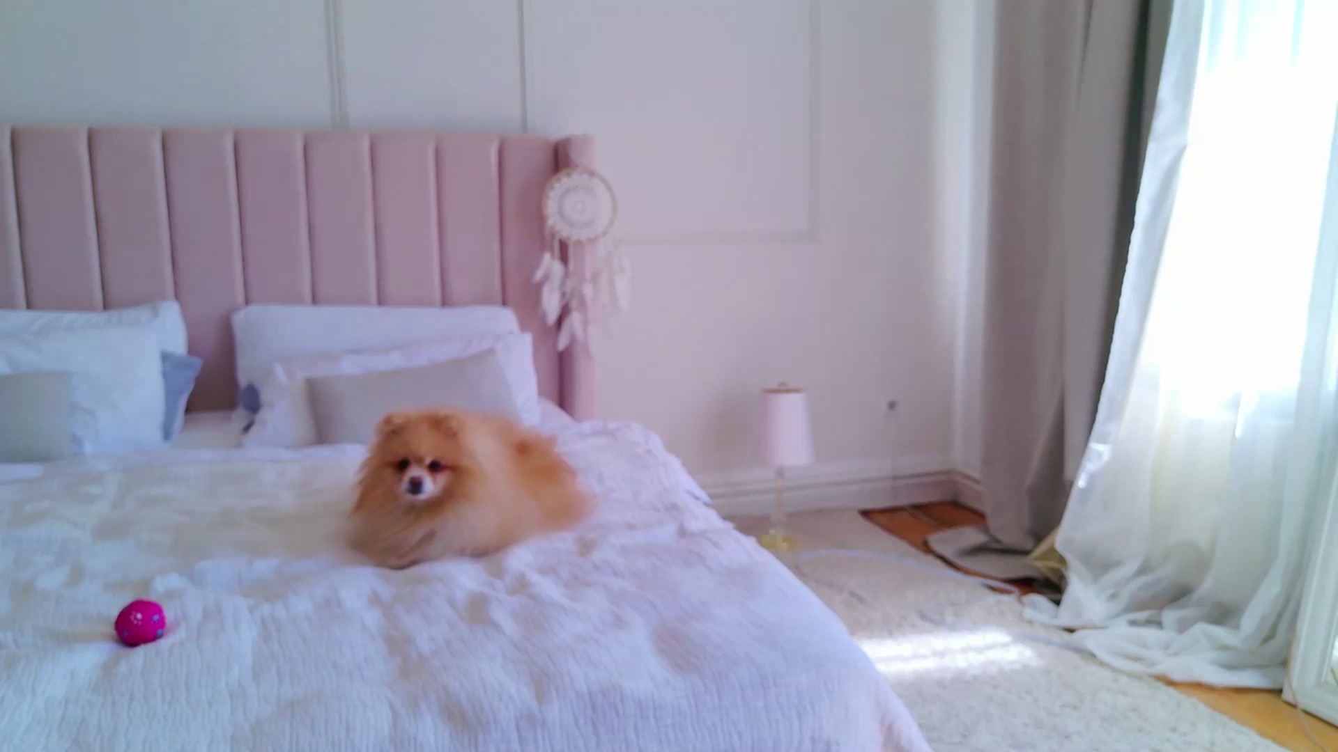 Gallery image thumbnail from LolaNiceAss1's myfreecams stream on, 04/20/2025, 12:24 image 10 of 20