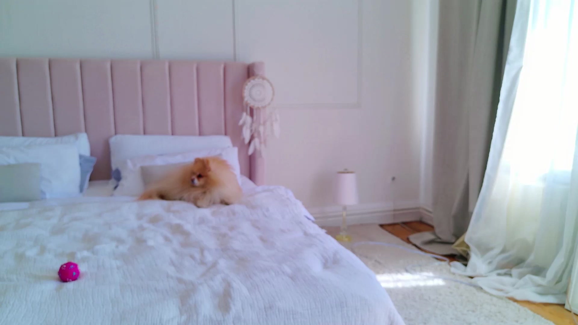 Gallery image thumbnail from LolaNiceAss1's myfreecams stream on, 04/20/2025, 14:49 image 2 of 20