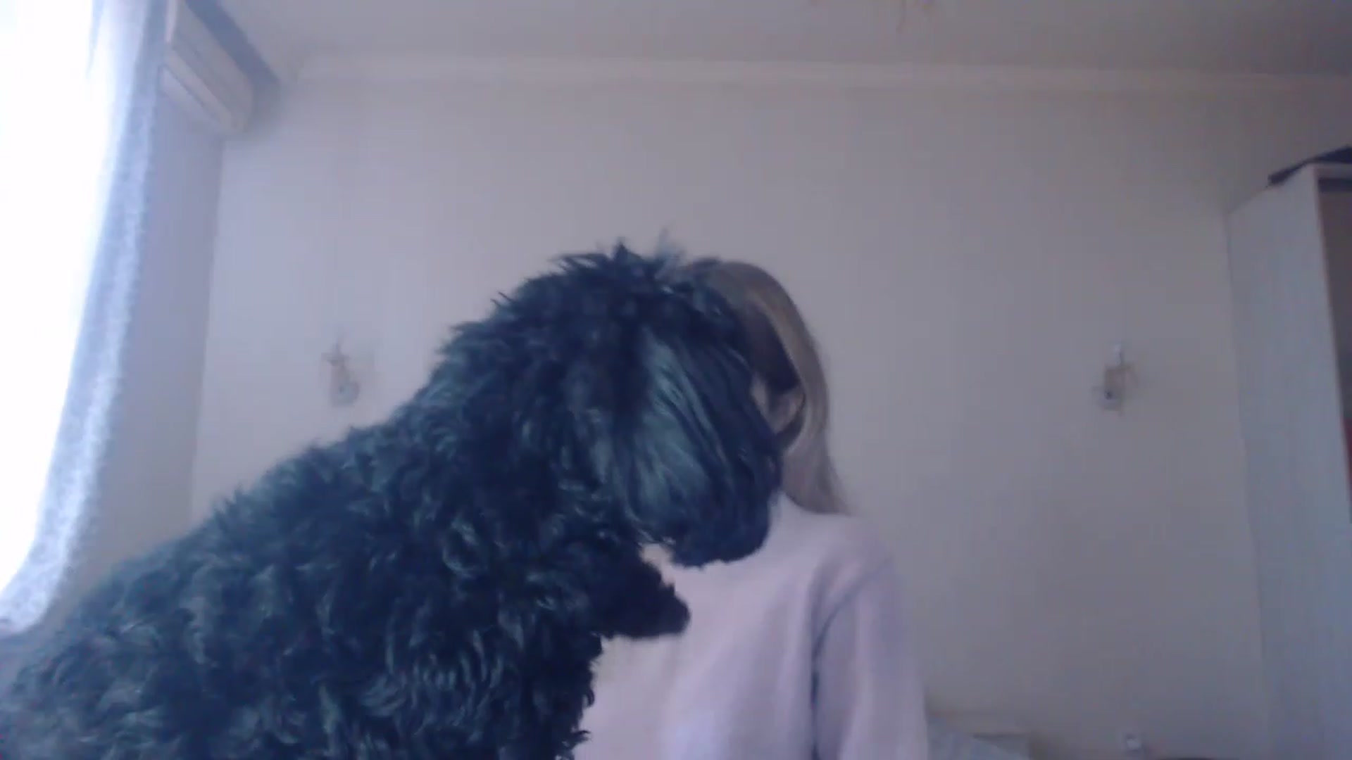 Gallery image thumbnail from Lola_vi's myfreecams stream on, 02/18/2023, 10:59 image 18 of 20