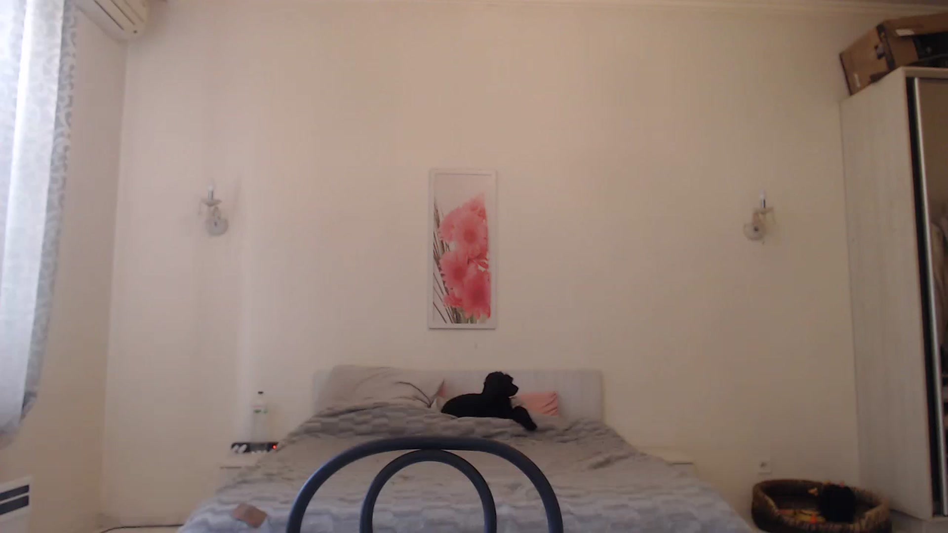 Gallery image thumbnail from Lola_vi's myfreecams stream on, 05/23/2023, 11:00 image 13 of 20