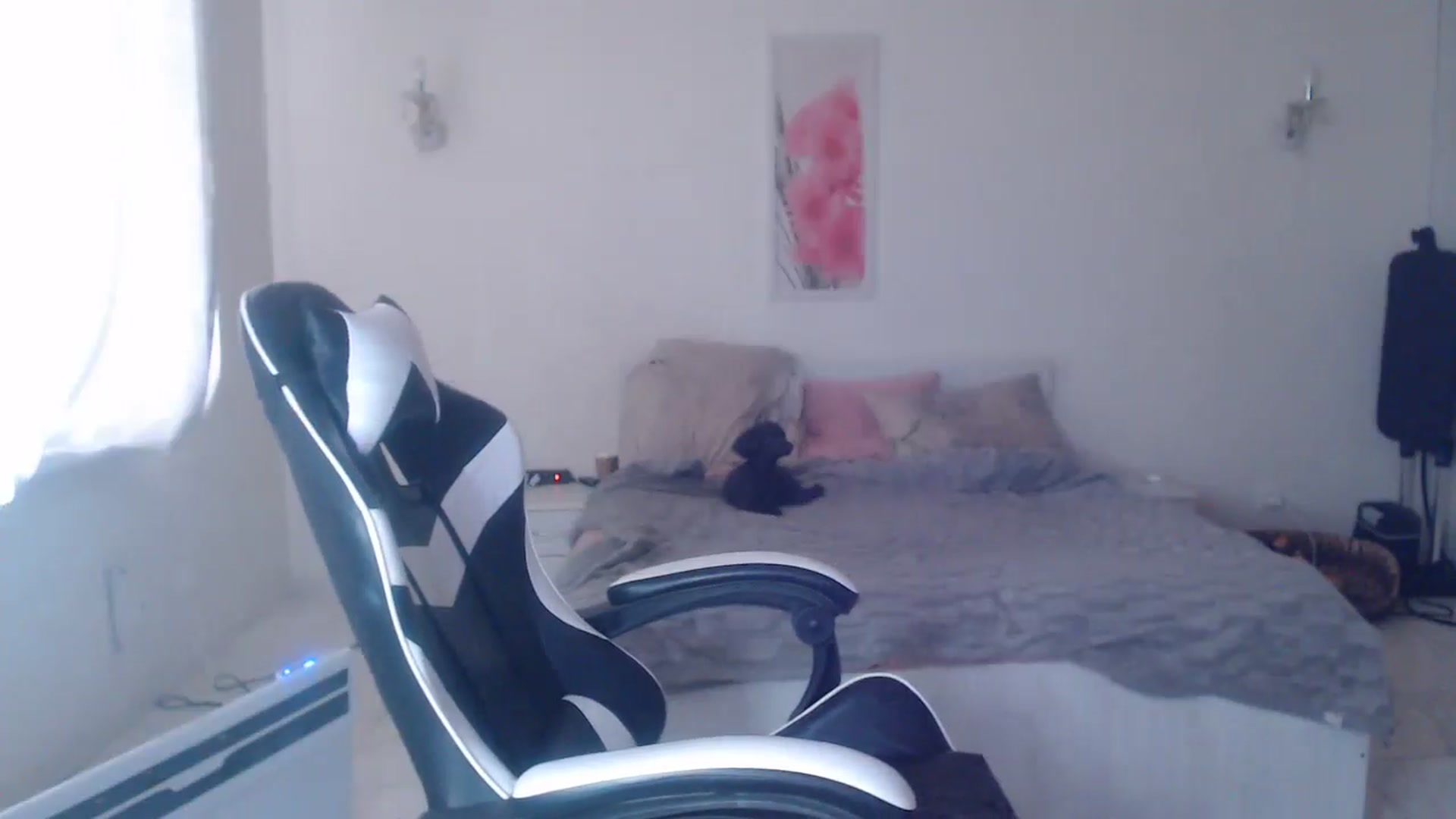 Gallery image thumbnail from Lola_vi's myfreecams stream on, 04/16/2025, 14:50 image 13 of 20