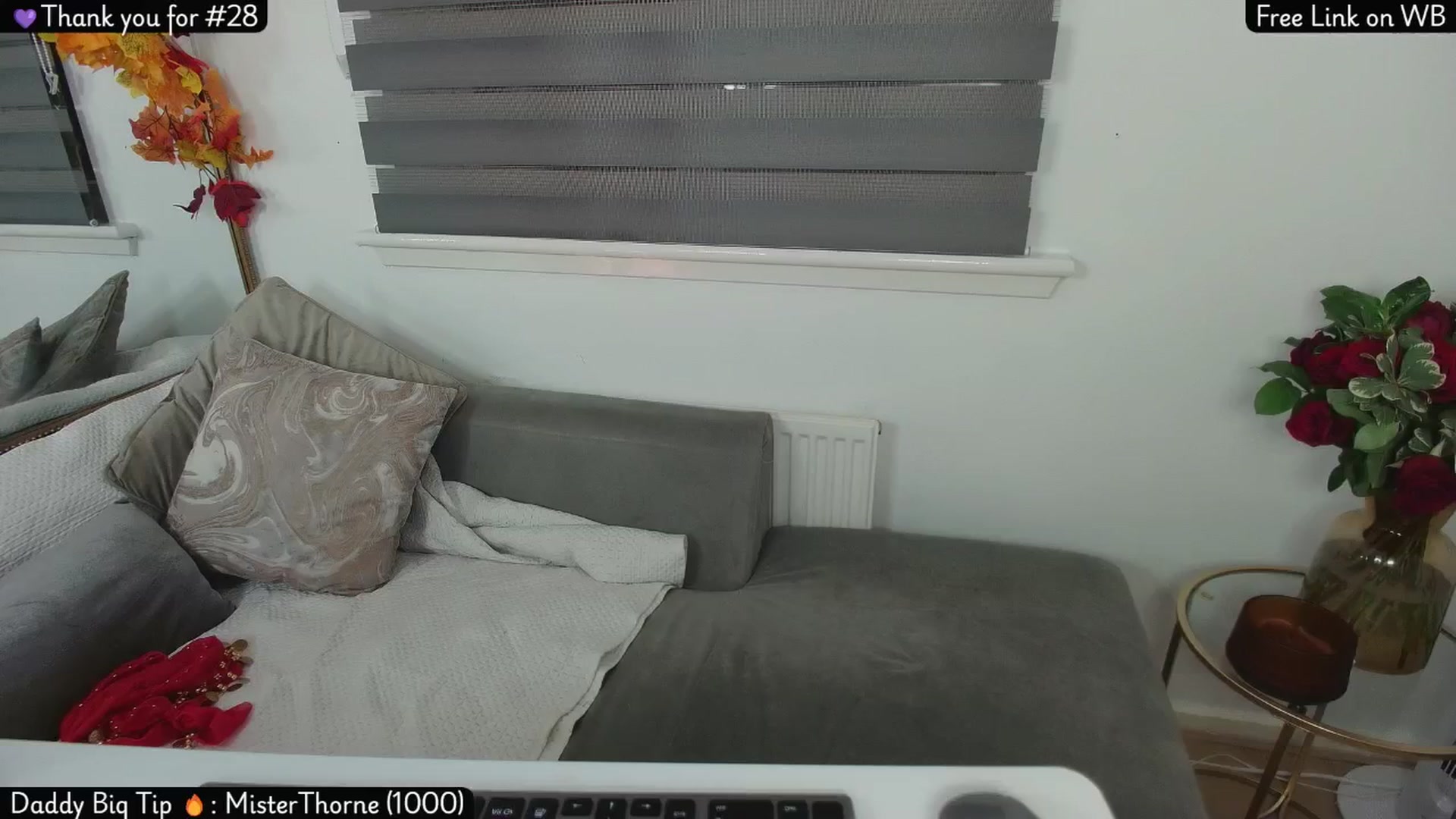 Gallery image thumbnail from Lolathorne's myfreecams stream on, 11/18/2025, 23:53 image 12 of 20