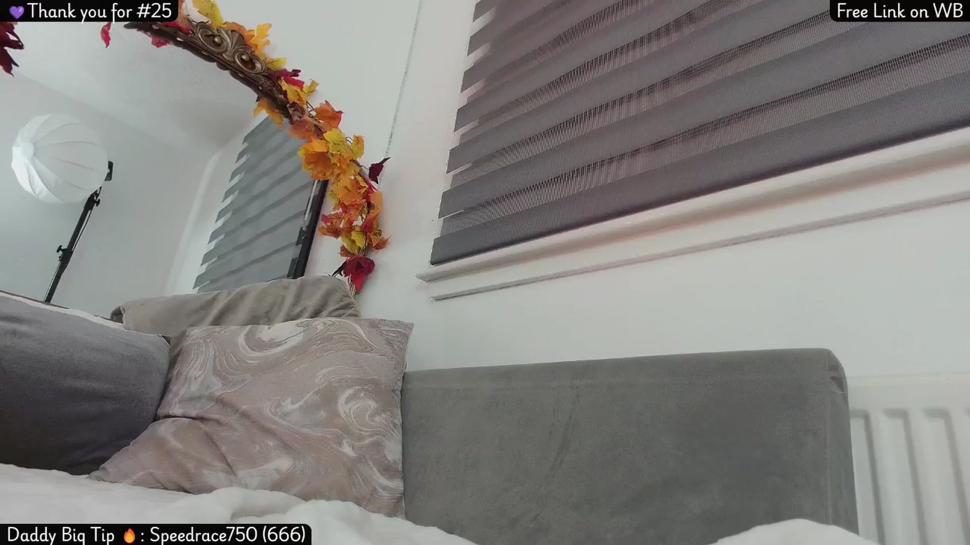 Gallery image thumbnail from Lolathorne's myfreecams stream on, 11/22/2025, 24:11 image 13 of 20