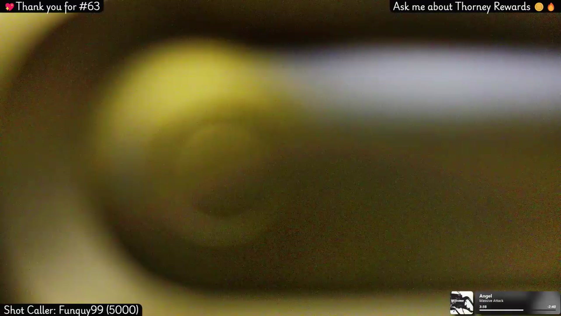 Gallery image thumbnail from Lolathorne's myfreecams stream on, 05/10/2026, 23:13 image 16 of 20