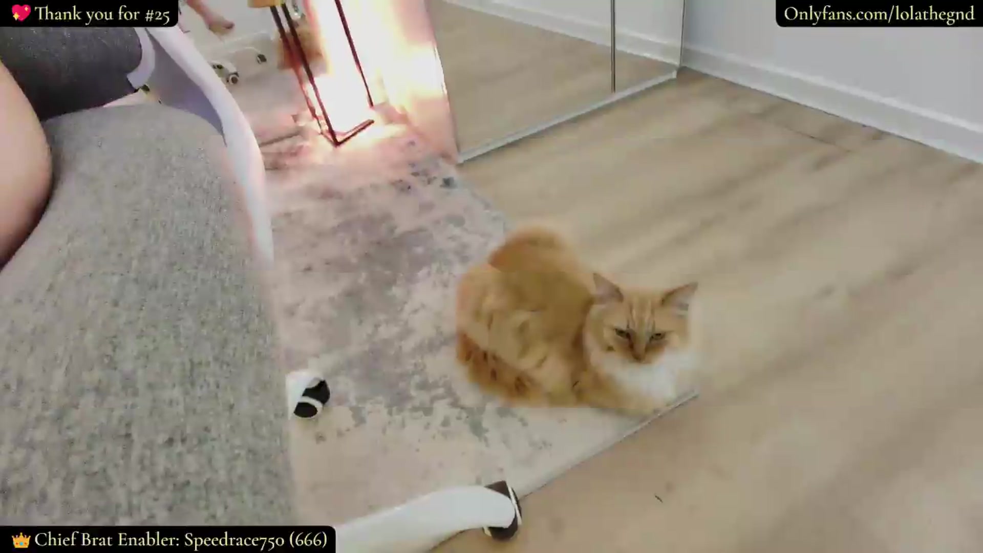 Gallery image thumbnail from Lolathorne's myfreecams stream on, 07/27/2026, 23:17 image 14 of 20