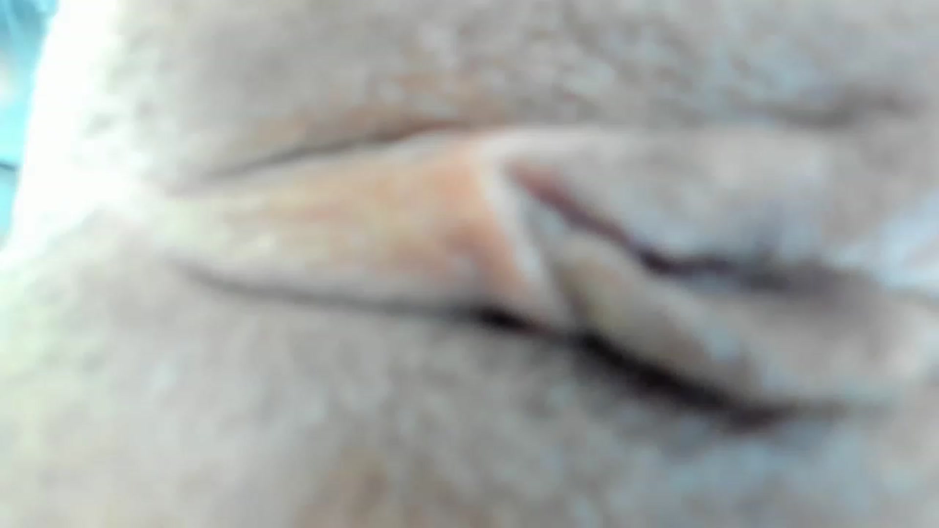 Gallery image thumbnail from Lolipopgomez's myfreecams stream on, 02/12/2023, 18:18 image 2 of 20