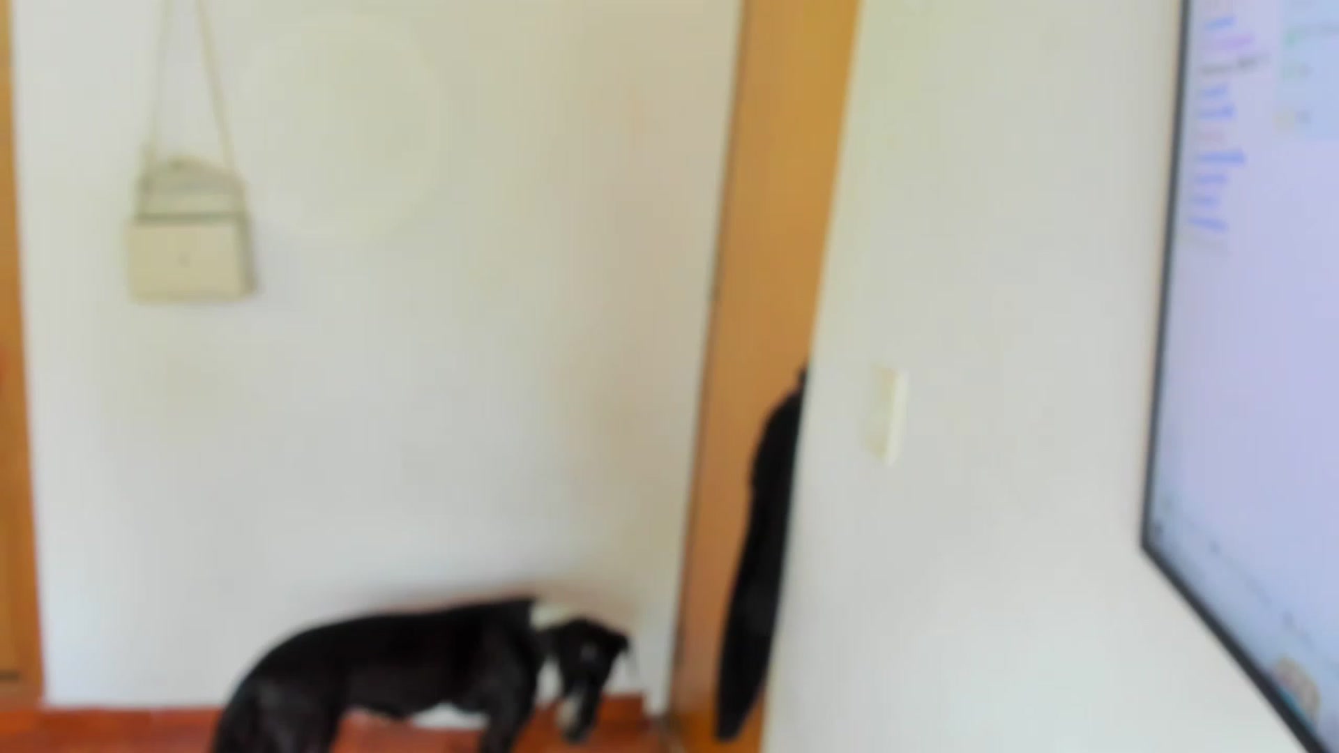 Gallery image thumbnail from Lolipopgomez's myfreecams stream on, 02/28/2023, 16:05 image 6 of 20