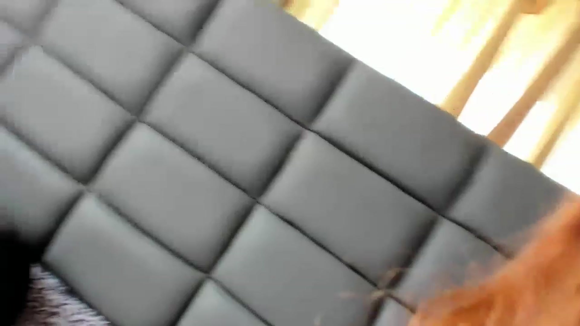 Gallery image thumbnail from Lolipopgomez's myfreecams stream on, 03/01/2023, 15:08 image 10 of 20