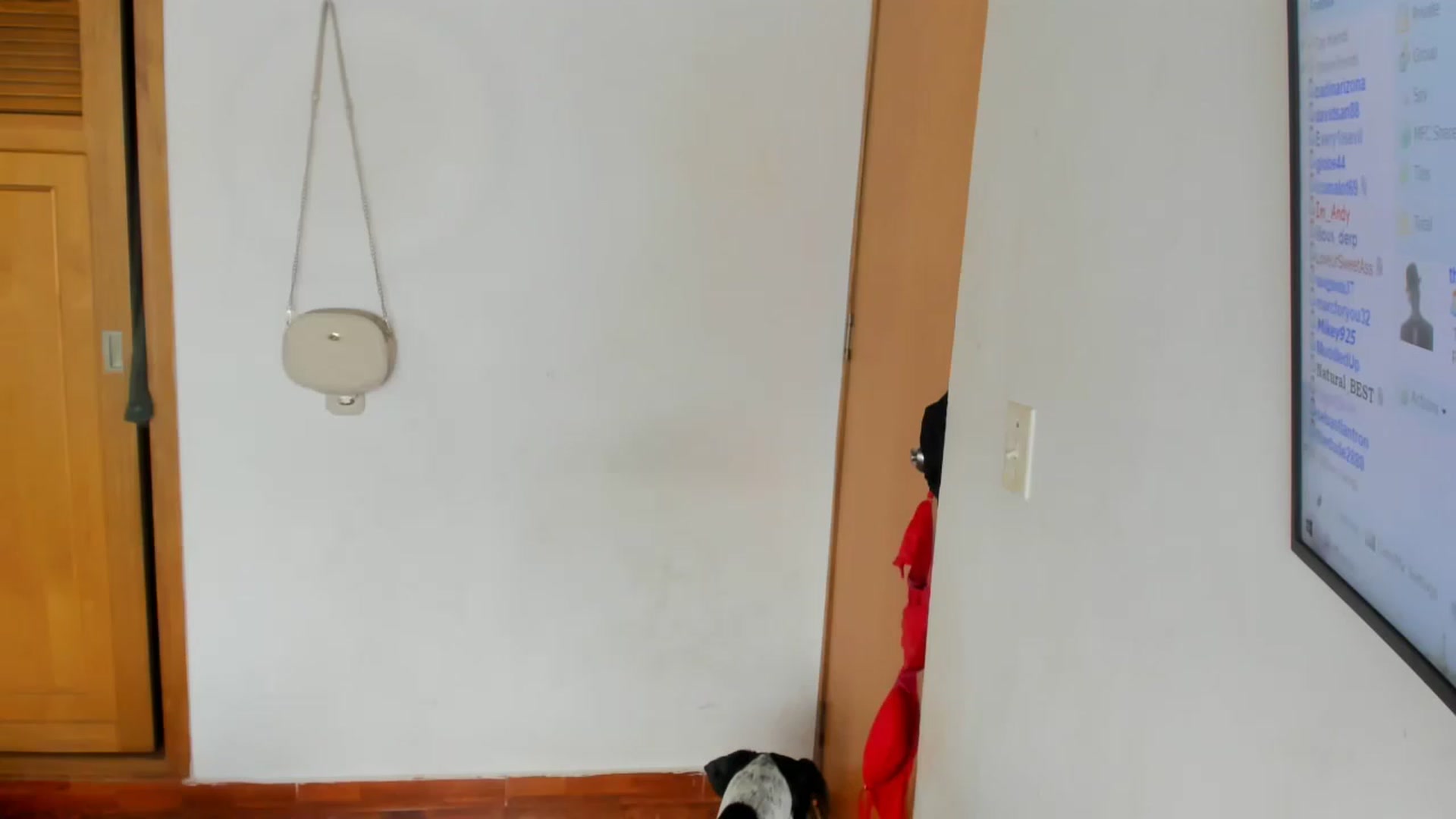 Gallery image thumbnail from Lolipopgomez's myfreecams stream on, 05/10/2023, 16:25 image 8 of 20