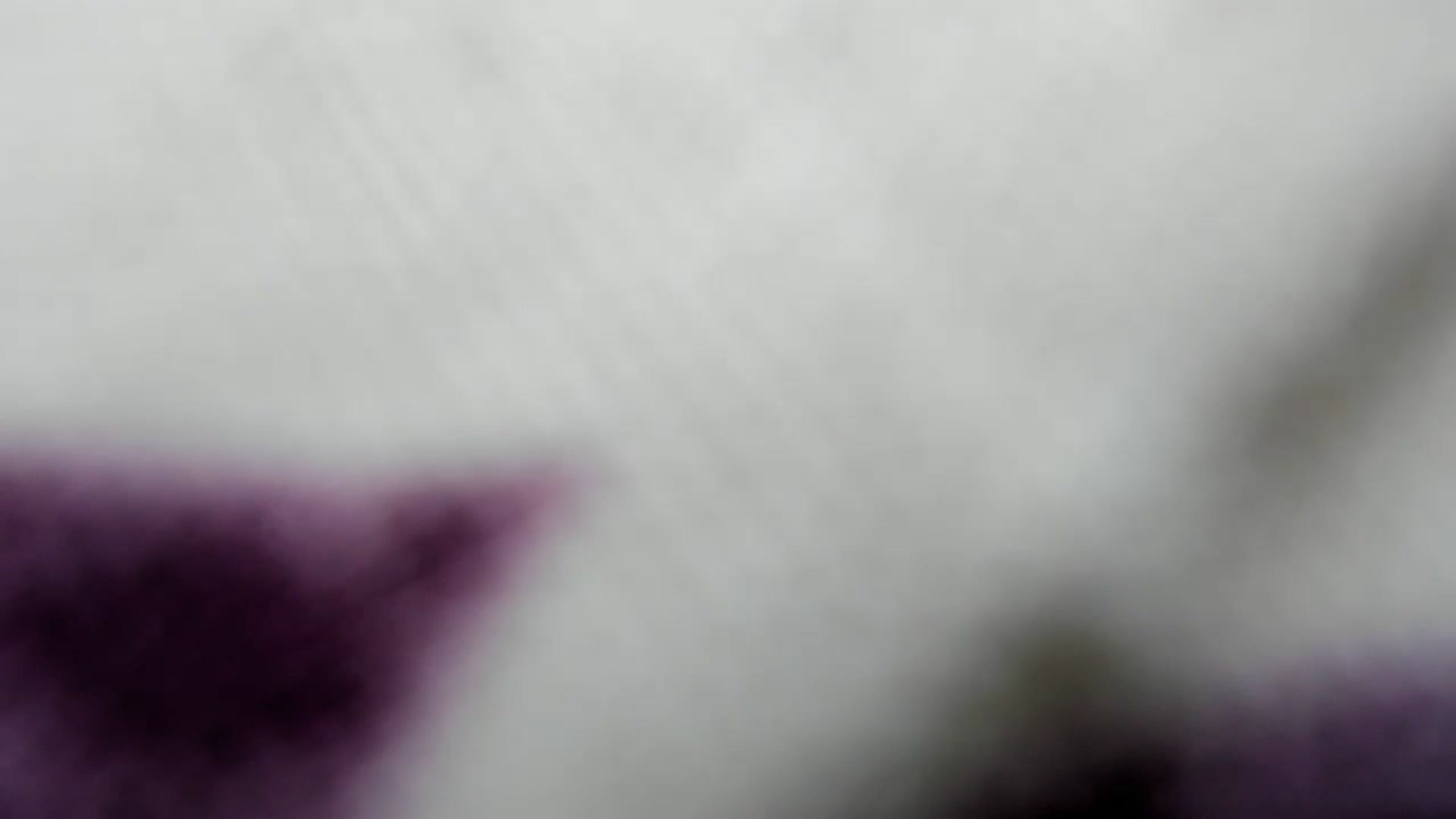 Gallery image thumbnail from Lolipopgomez's myfreecams stream on, 06/11/2023, 15:53 image 13 of 20
