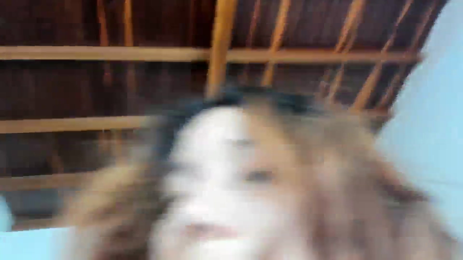 Gallery image thumbnail from Lolipopgomez's myfreecams stream on, 07/22/2023, 16:37 image 19 of 20