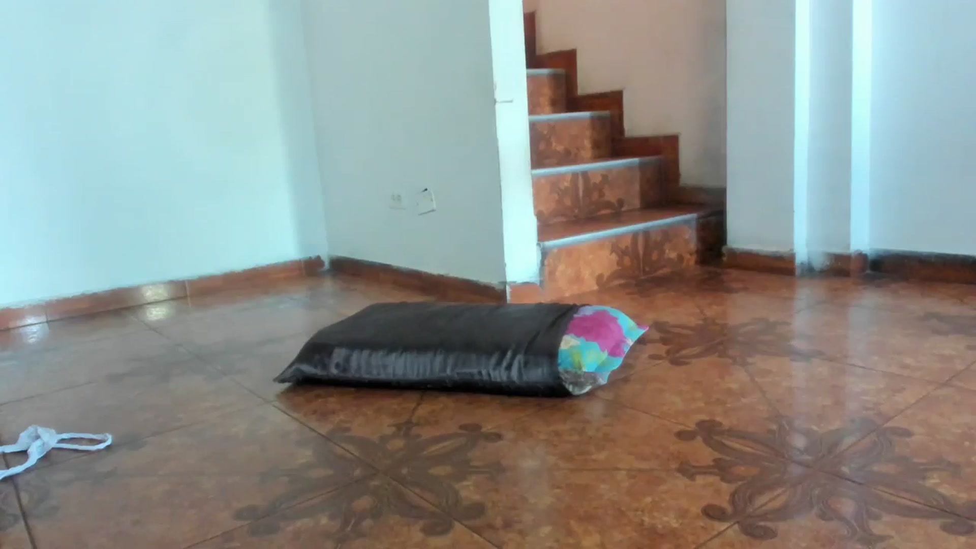 Gallery image thumbnail from Lolipopgomez's myfreecams stream on, 03/02/2024, 15:33 image 5 of 20