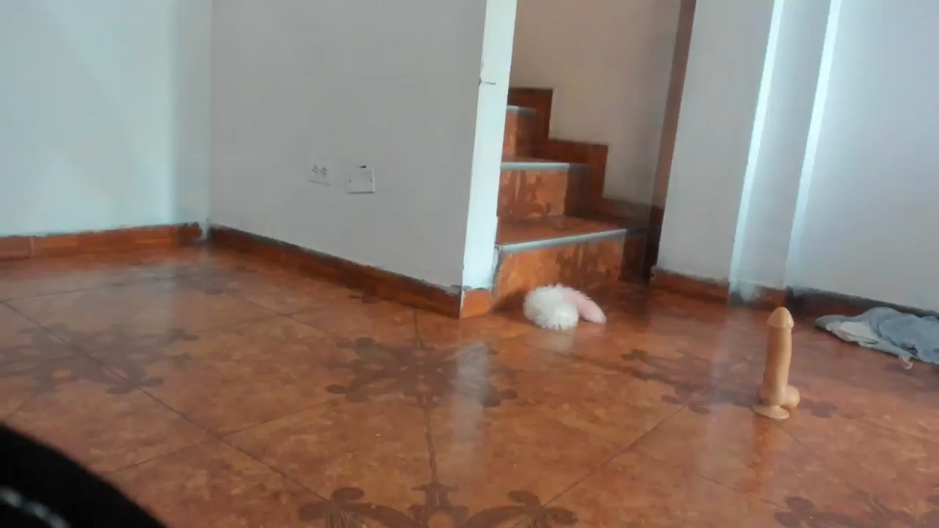 Gallery image thumbnail from Lolipopgomez's myfreecams stream on, 05/06/2024, 15:54 image 1 of 20