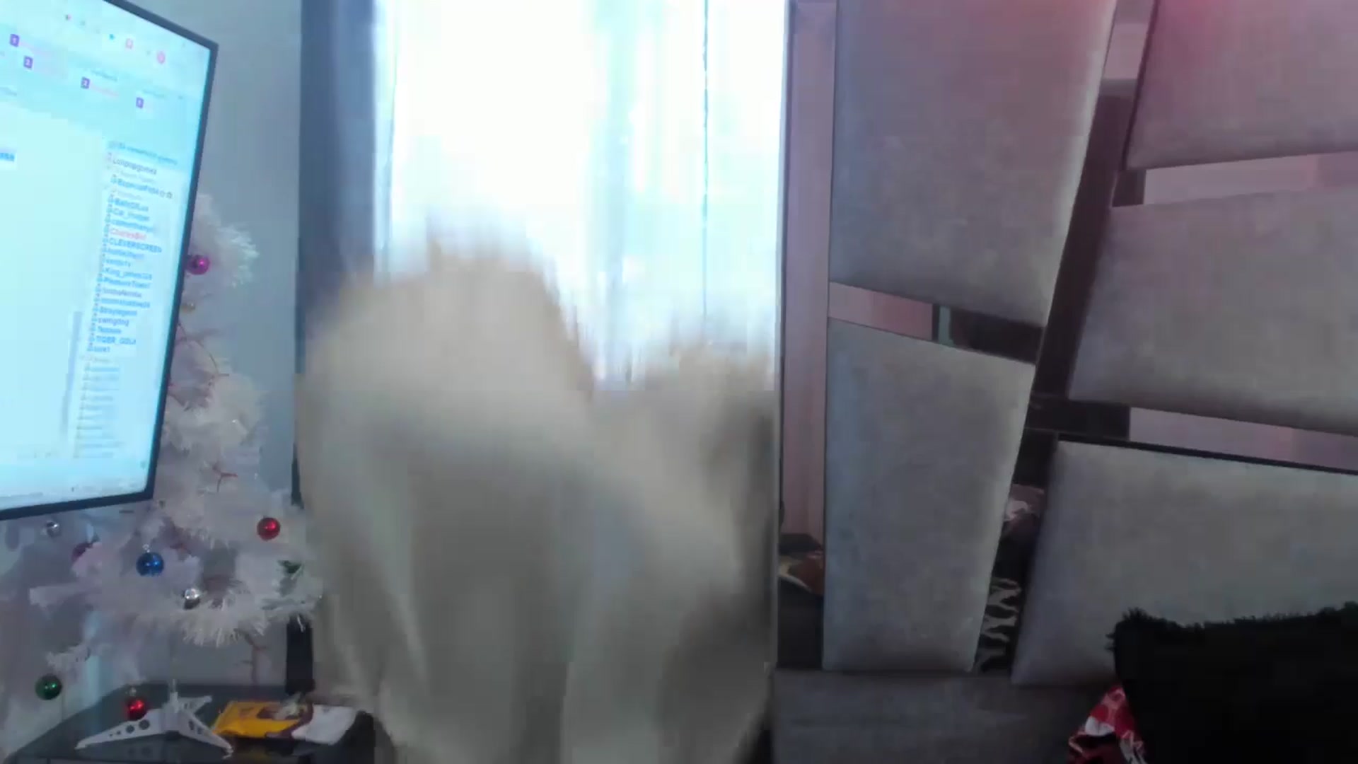 Gallery image thumbnail from Lolipopgomez's myfreecams stream on, 12/09/2024, 18:56 image 5 of 20
