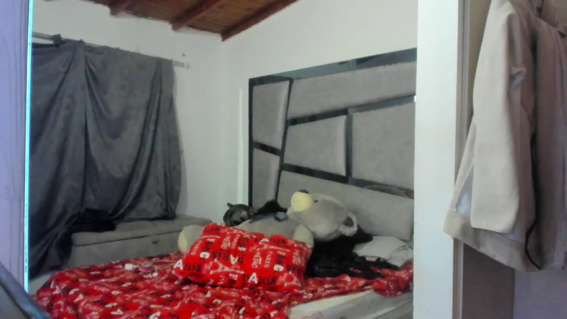 Gallery image thumbnail from Lolipopgomez's myfreecams stream on, 06/09/2025, 06:37 image 14 of 20
