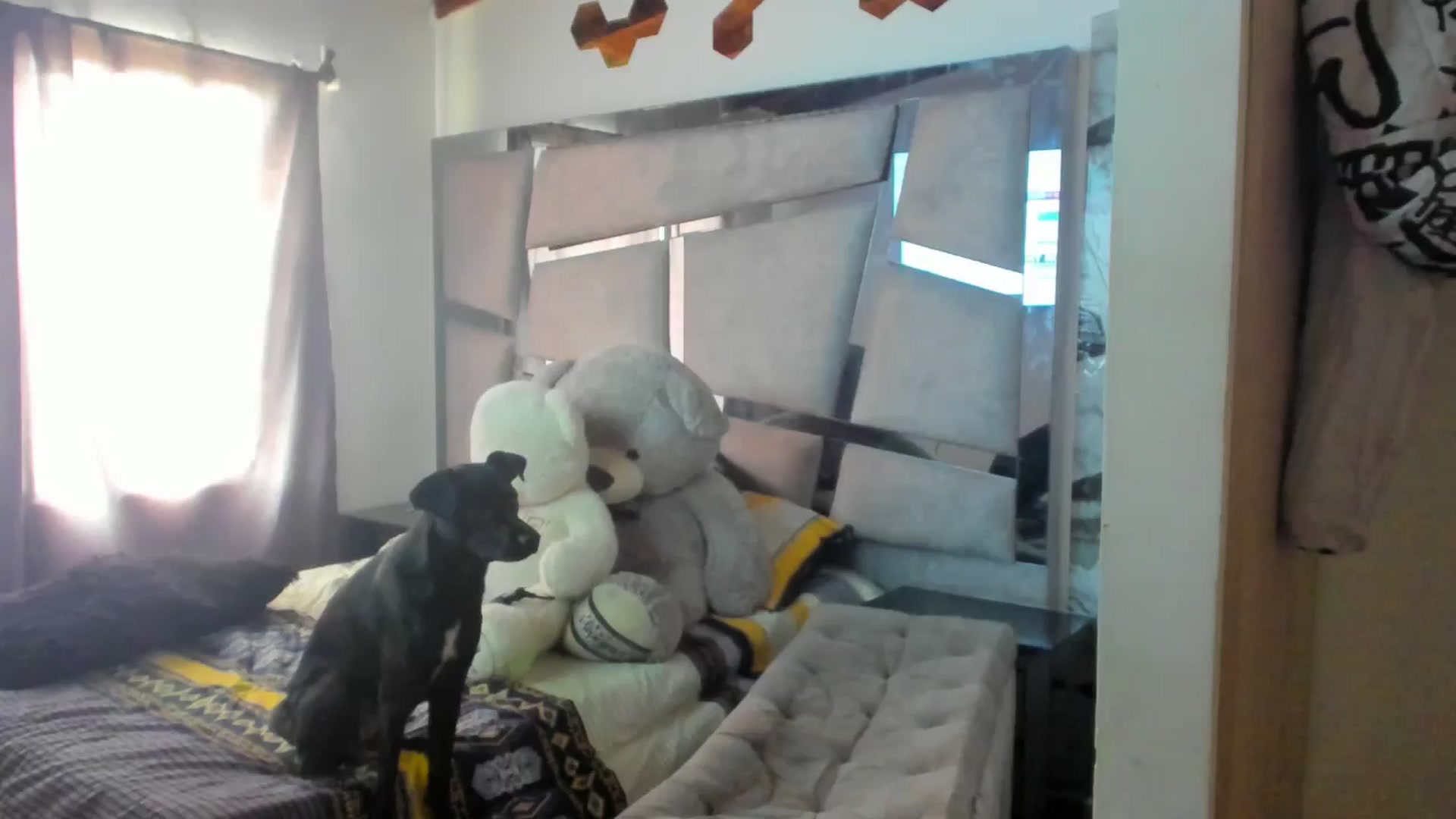 Gallery image thumbnail from Lolipopgomez's myfreecams stream on, 07/21/2025, 18:39 image 1 of 20